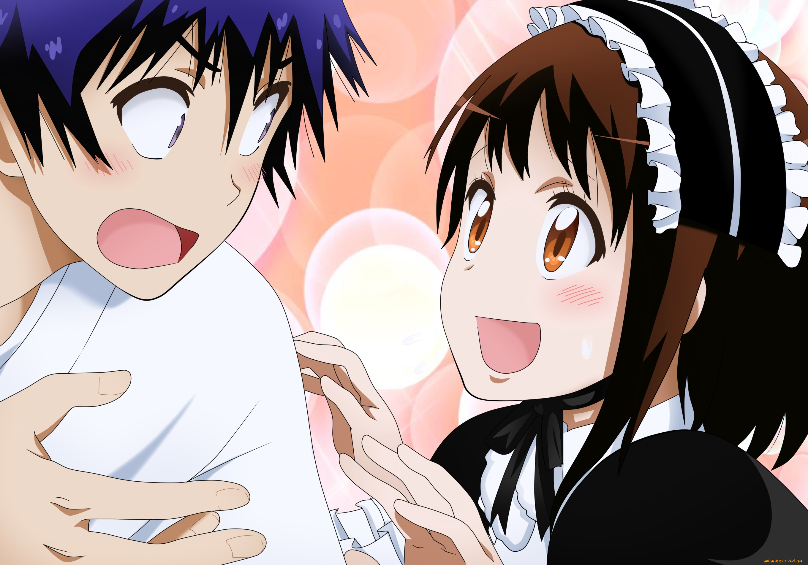 аниме, nisekoi, девушки, взгляд, фон