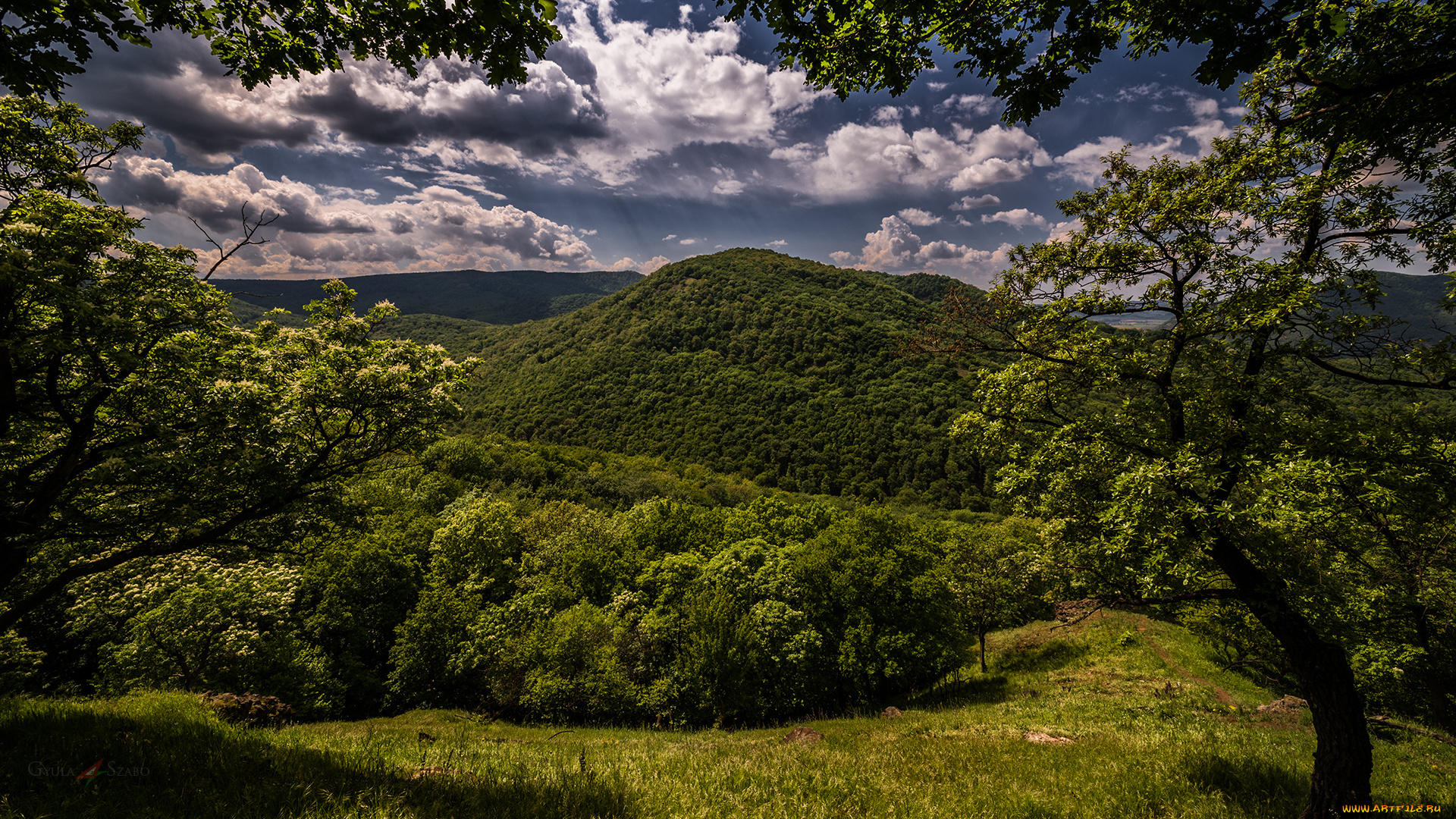 природа, пейзажи, простор