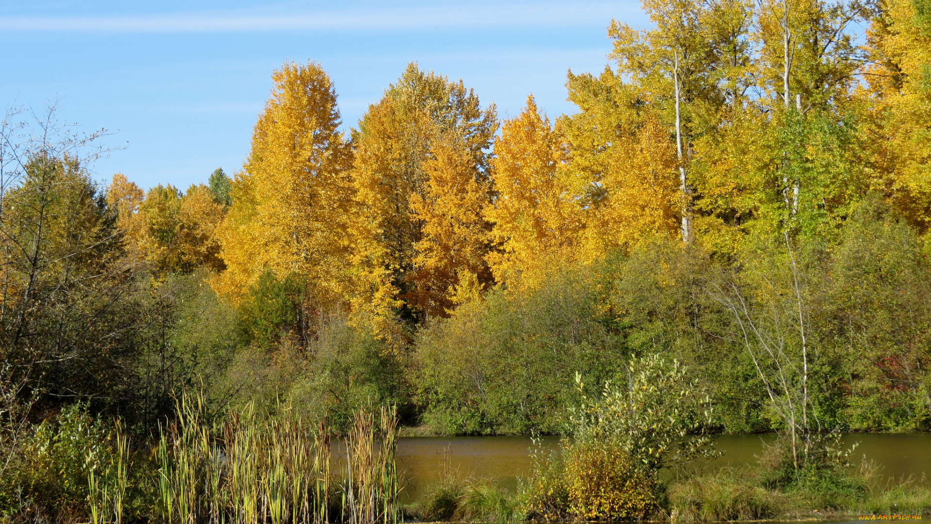 природа, реки, озера, осень