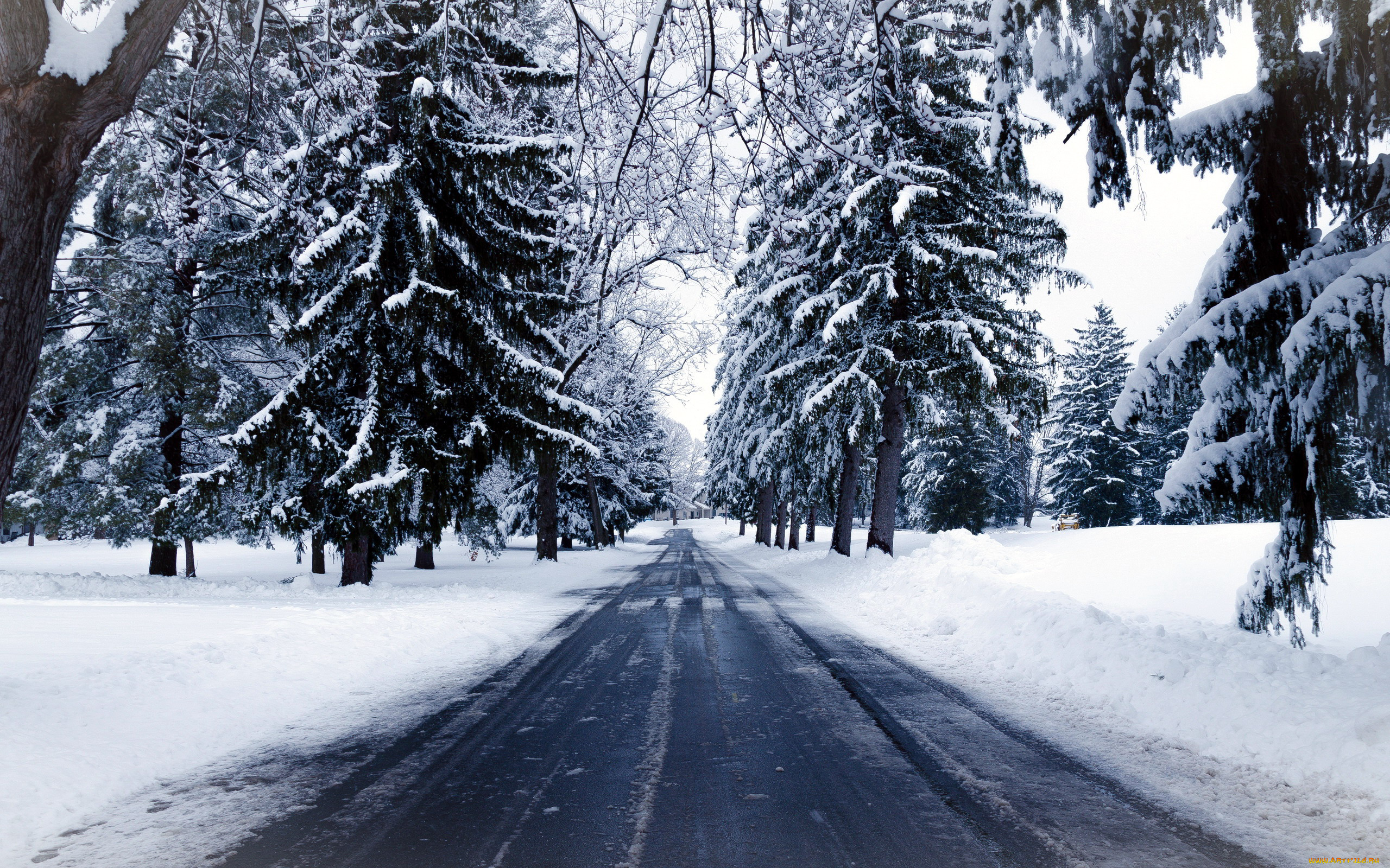 природа, дороги, шоссе, снег, зима