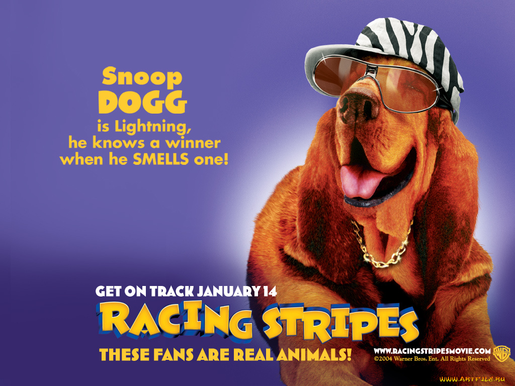 racing, stripes, мультфильмы