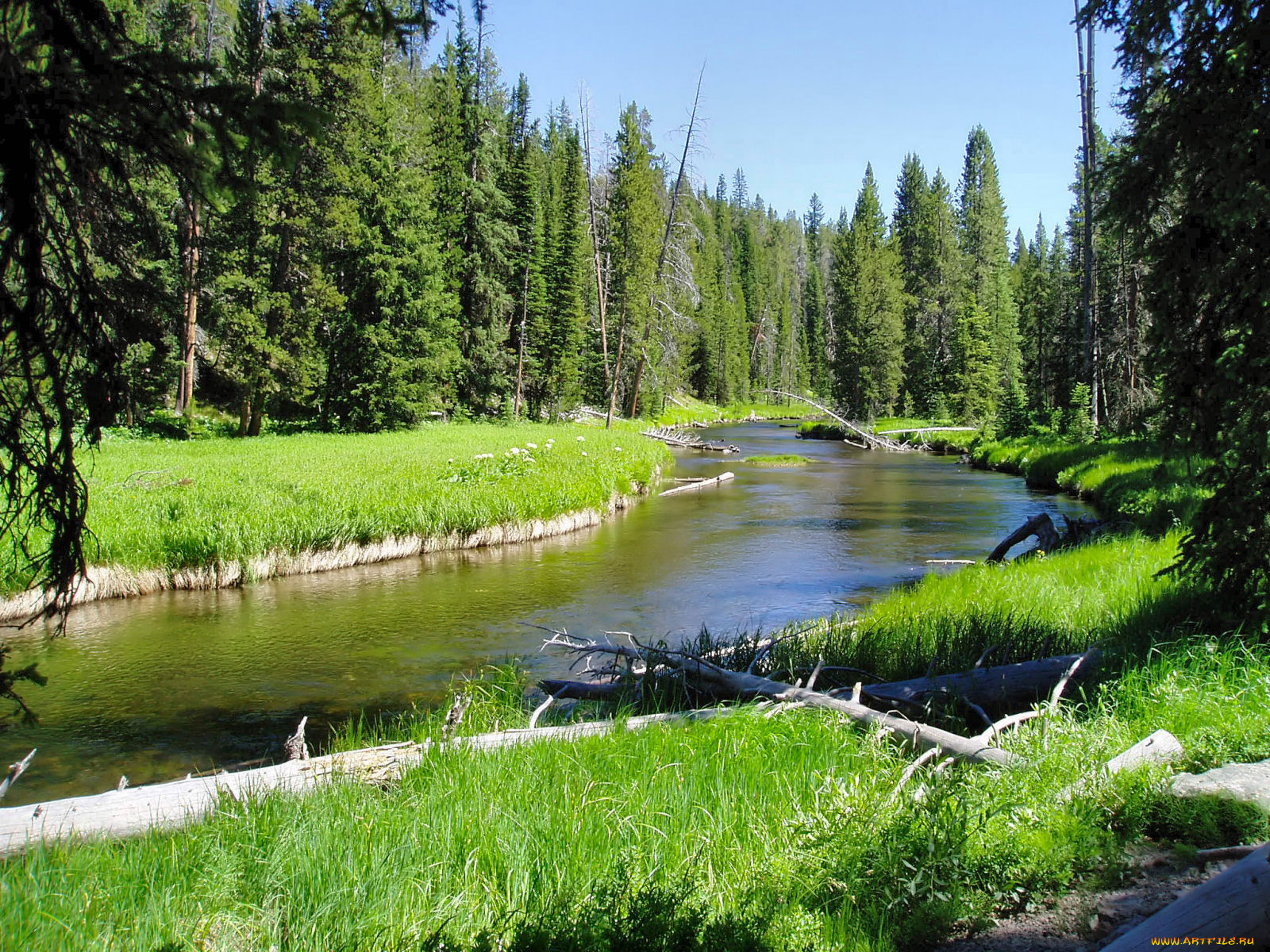 природа, реки, озера, река, yellowstone