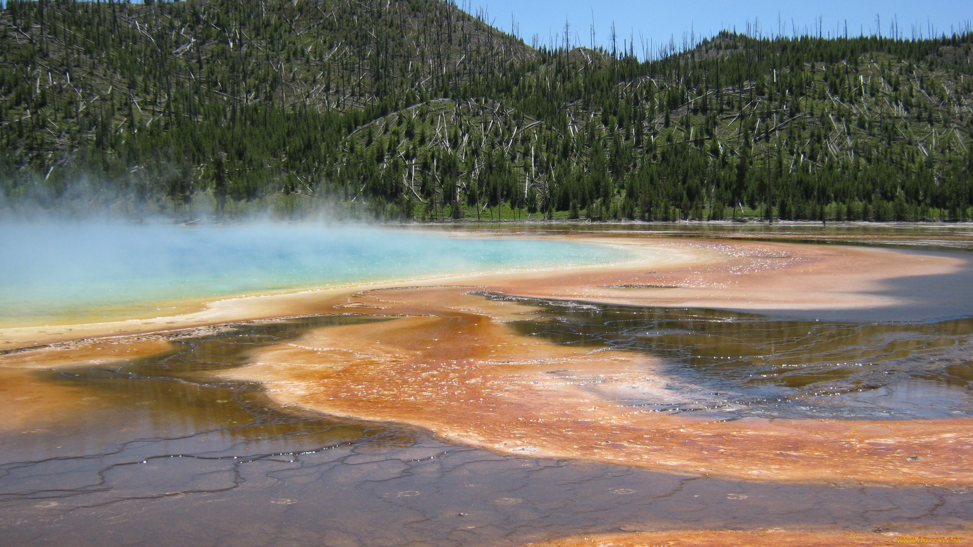 гейзер, природа, другое, yellowstone