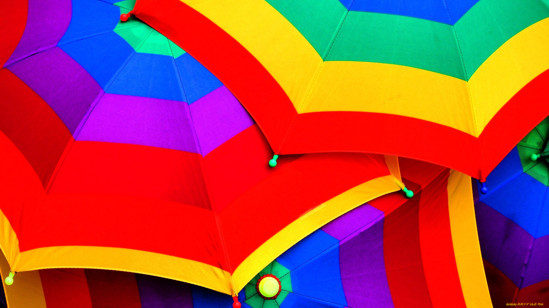 разное, сумки, кошельки, зонты, яркий, разноцветный