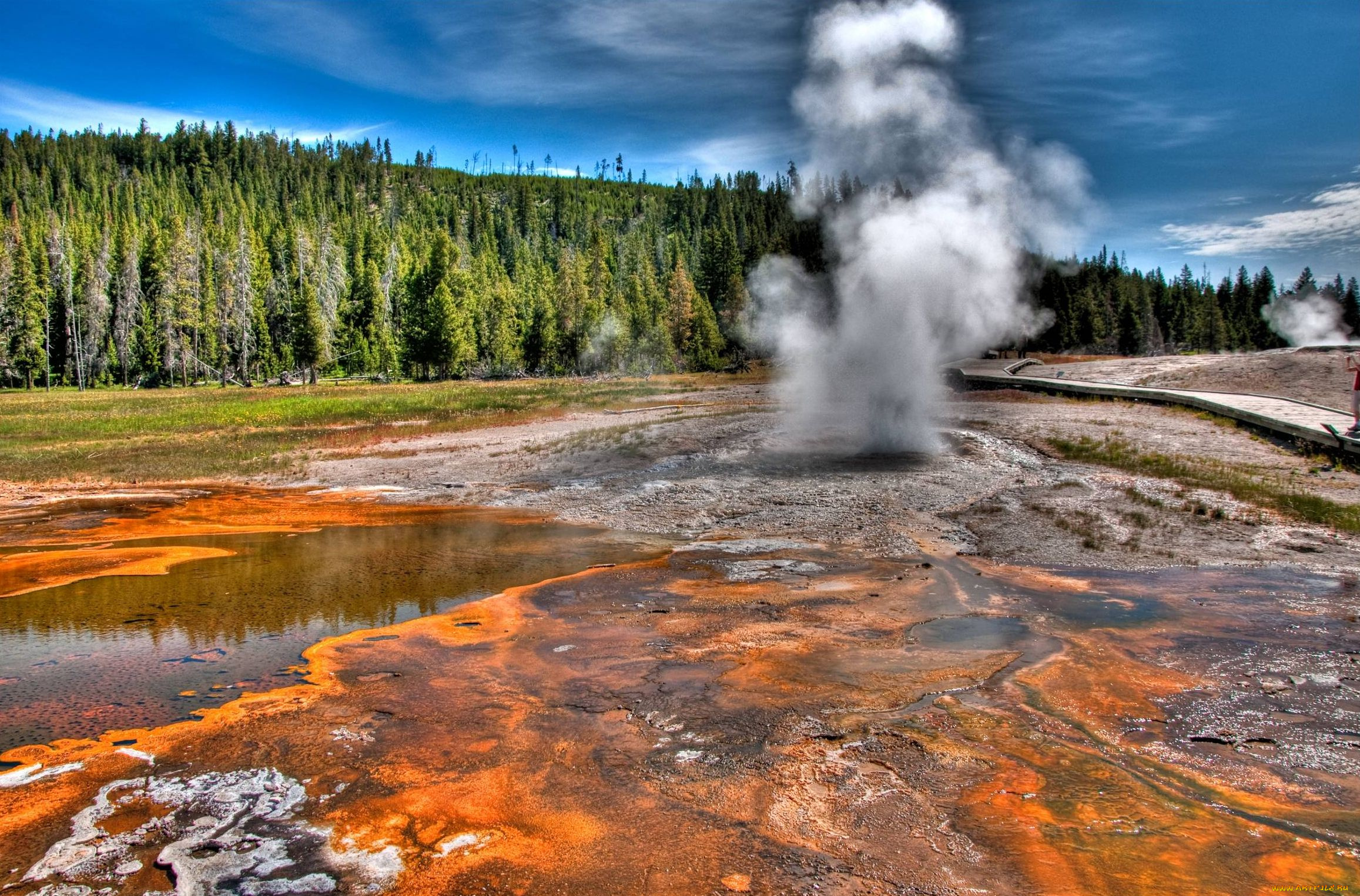 гейзер, природа, стихия, yellowstone