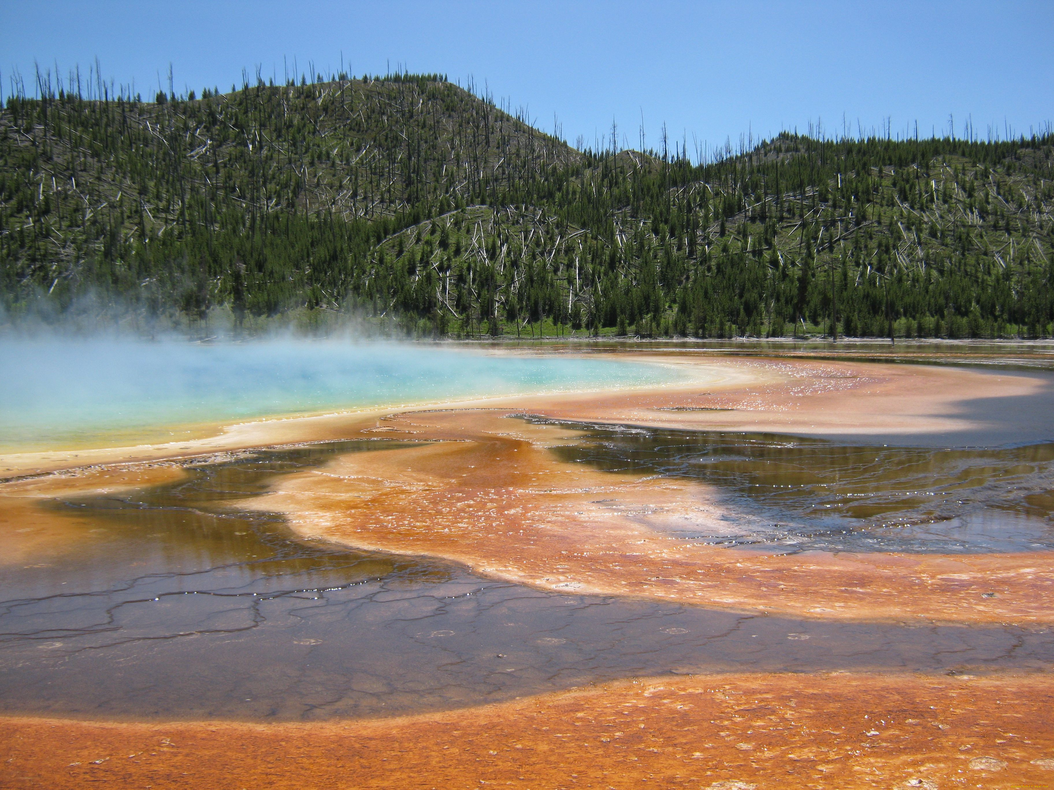 гейзер, природа, другое, yellowstone