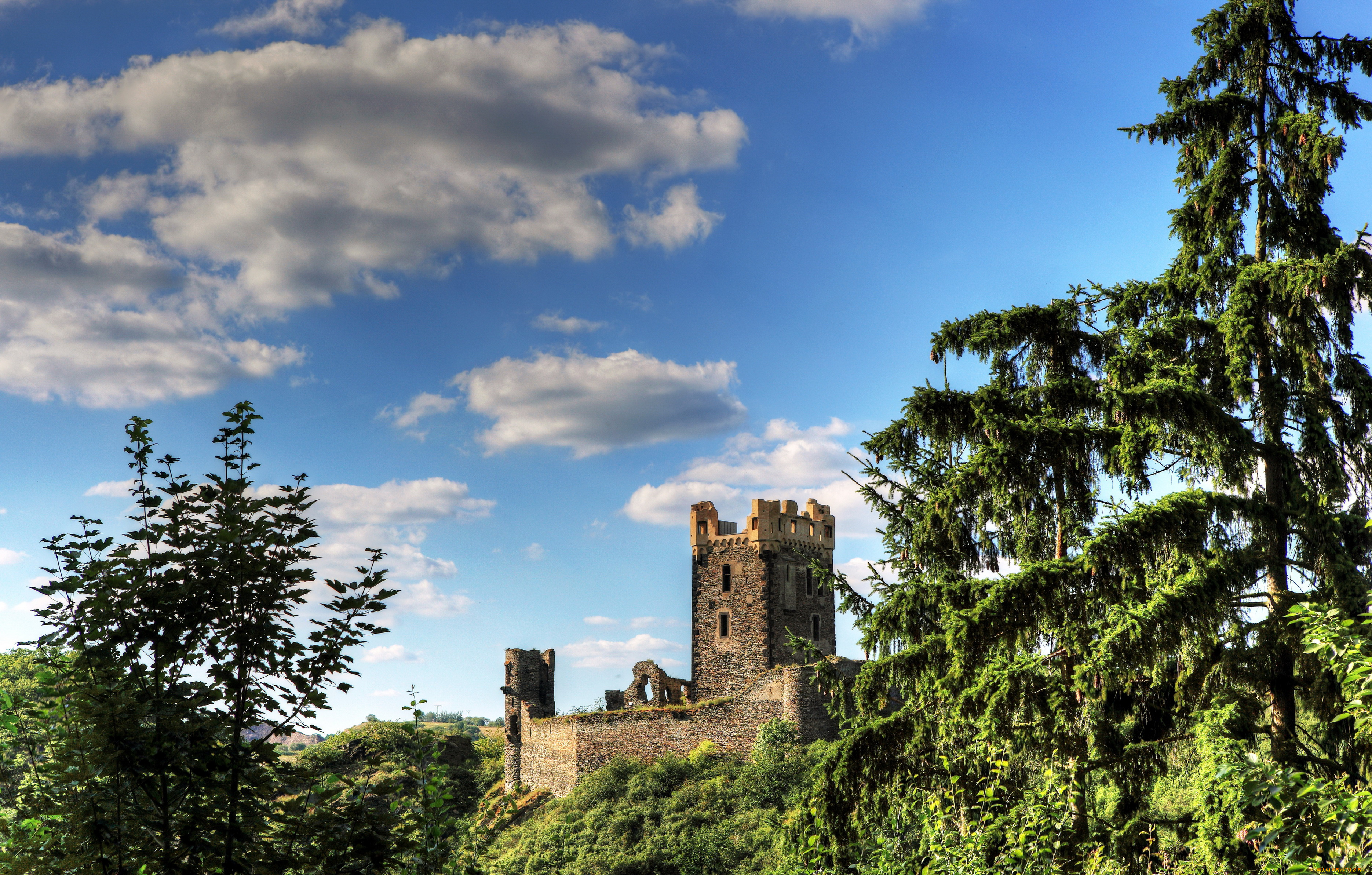 burg, wernerseck, германия, города, исторические, архитектурные, памятники, замок