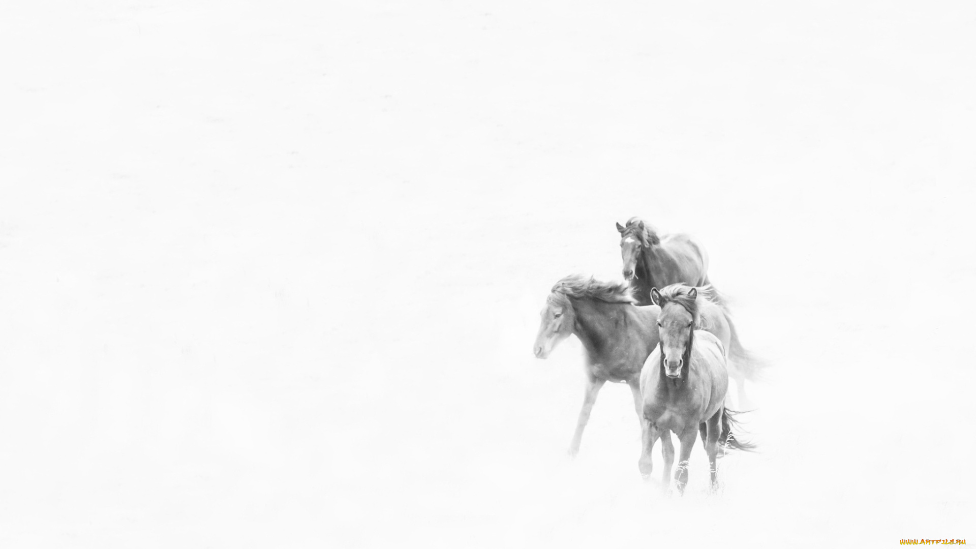 рисованное, минимализм, фон, природа, кони
