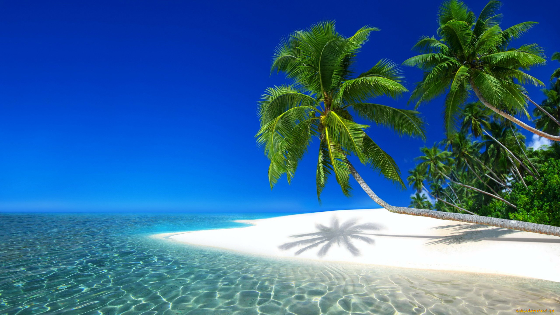 maldives, beach, природа, тропики, maldives, beach