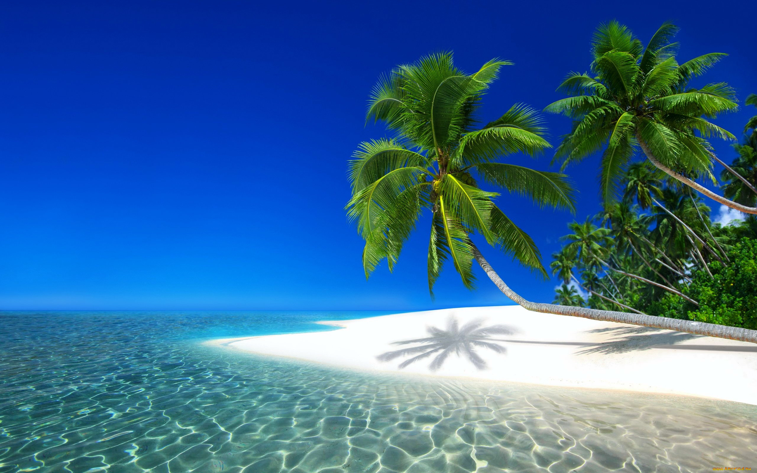 maldives, beach, природа, тропики, maldives, beach
