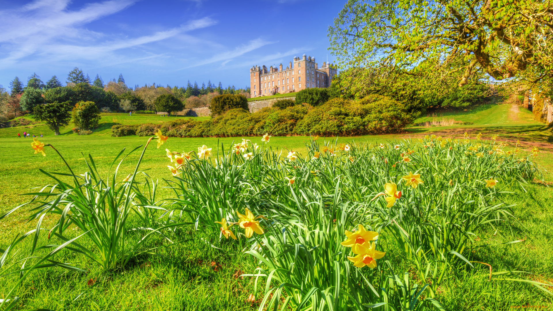 drumlanrig, castle, scotland, united, kingdom, города, замки, англии, drumlanrig, castle, united, kingdom