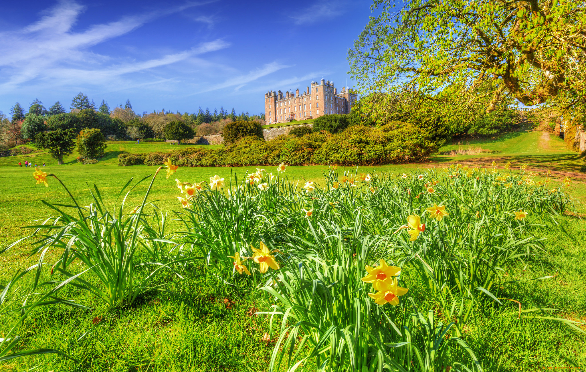 drumlanrig, castle, scotland, united, kingdom, города, замки, англии, drumlanrig, castle, united, kingdom