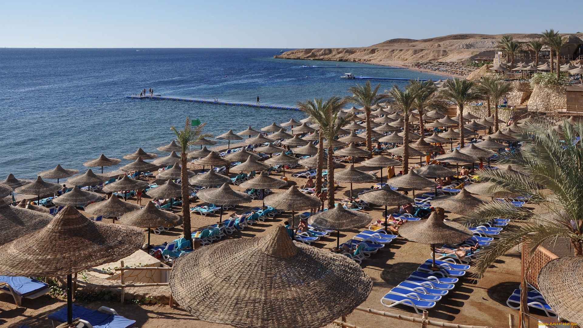 sharm, el, sheikh, природа, побережье, пляж