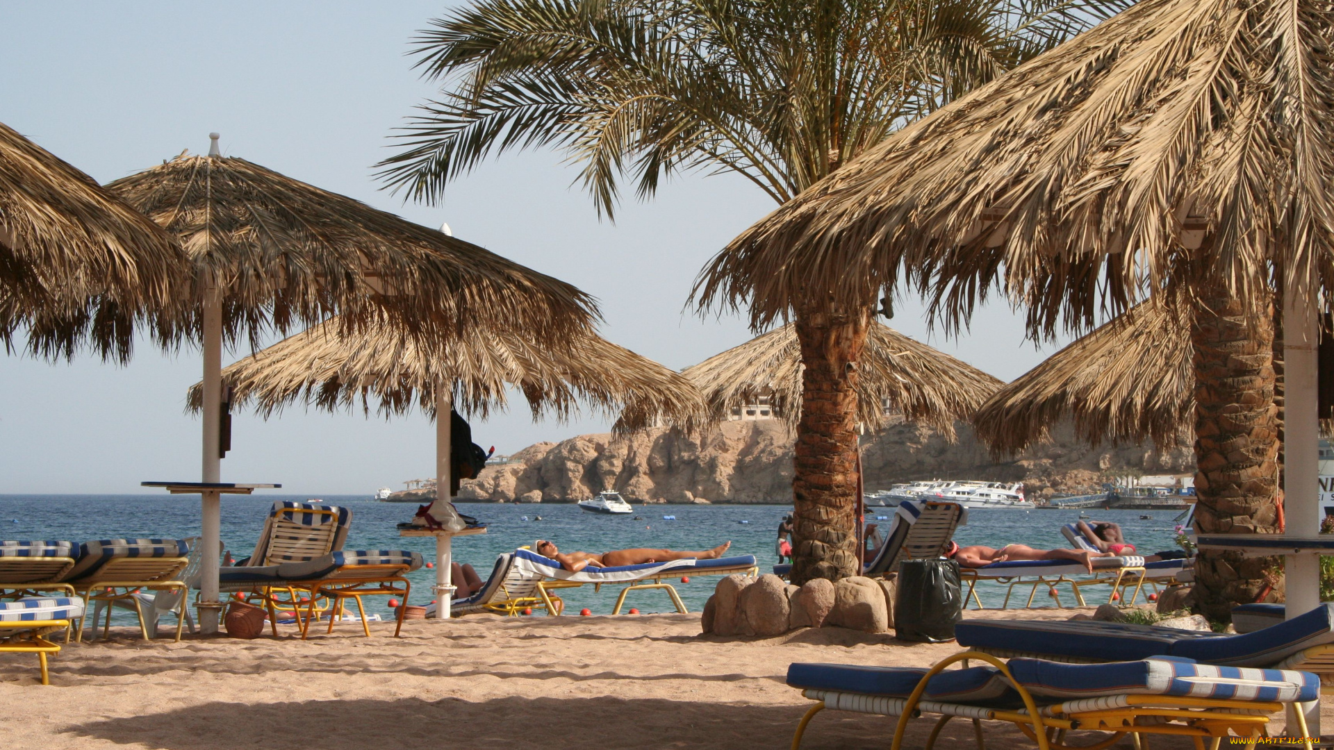 sharm, el, sheikh, природа, тропики, пляж, пальмы, египет