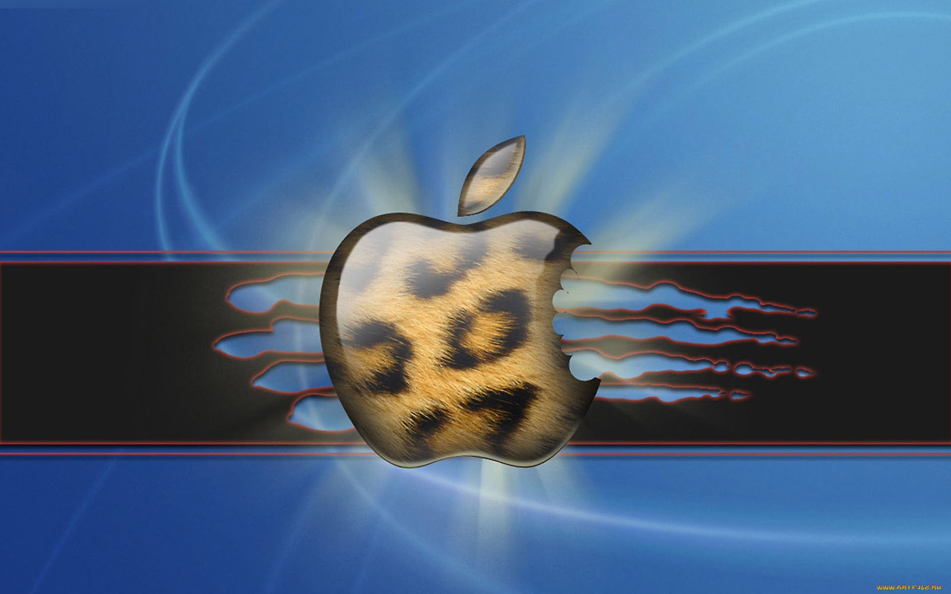 компьютеры, apple