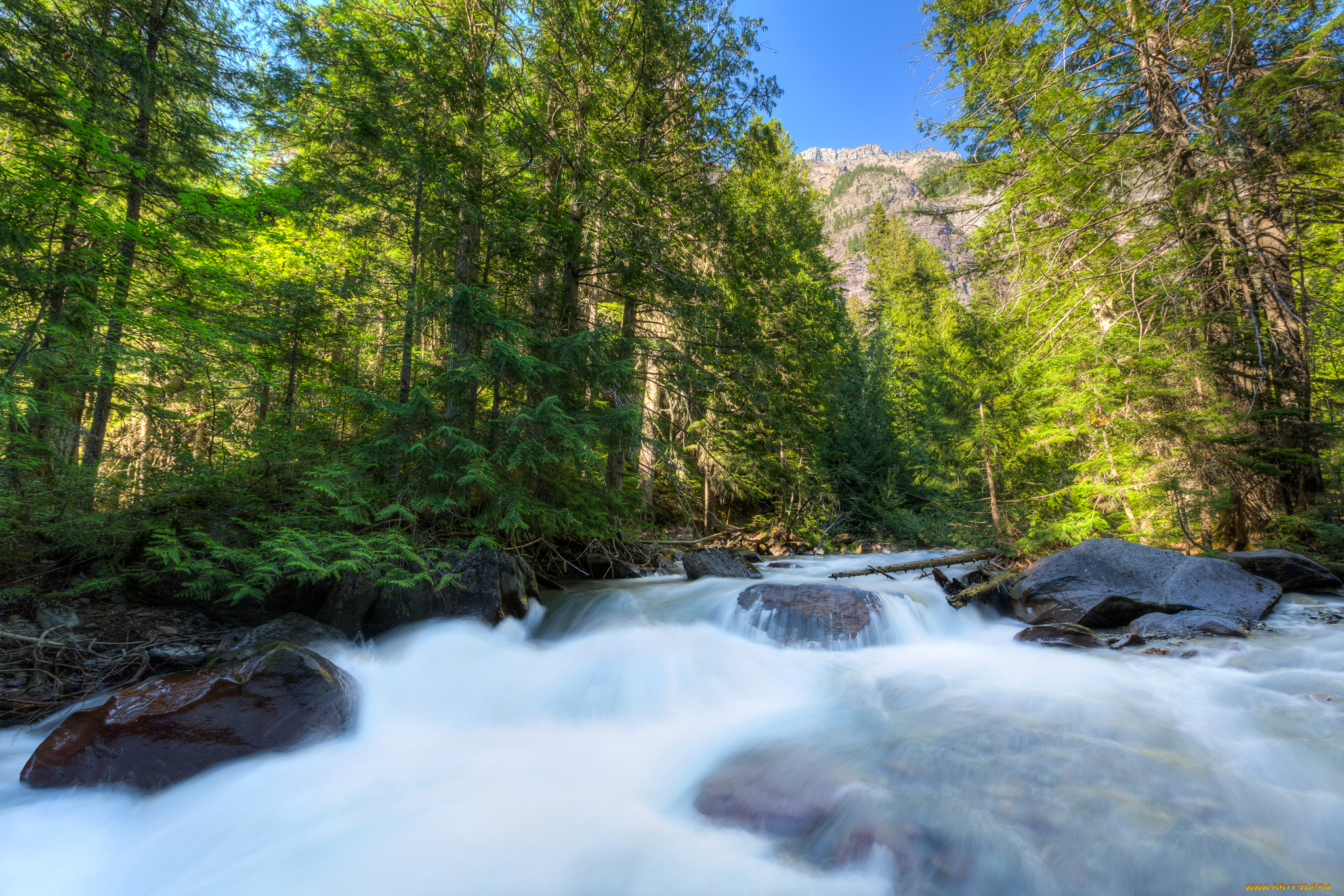 природа, реки, озера, montana, сша, glacier, national, park, камни, поток, лес, река, деревья, горы, небо