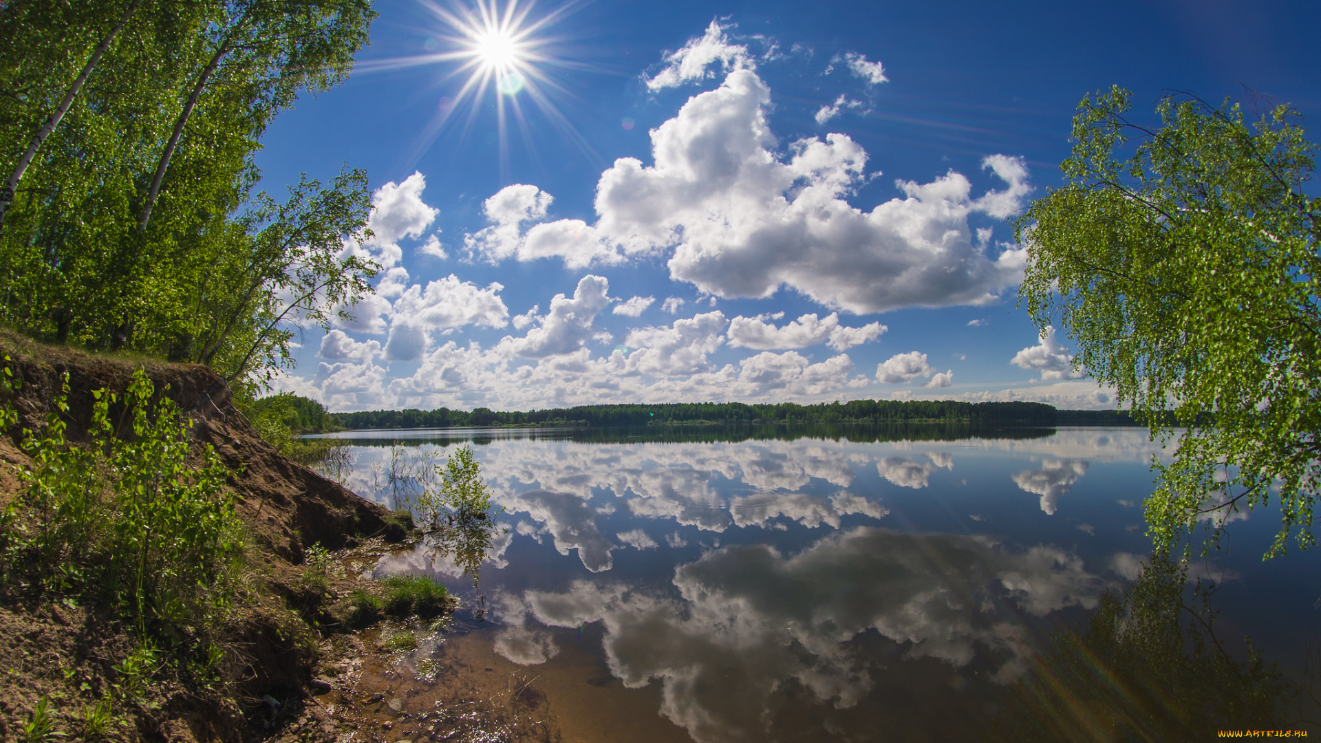 природа, реки, озера, река, лес