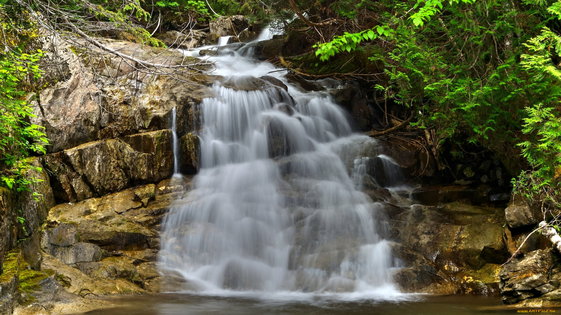 природа, водопады, река, водопад, лес