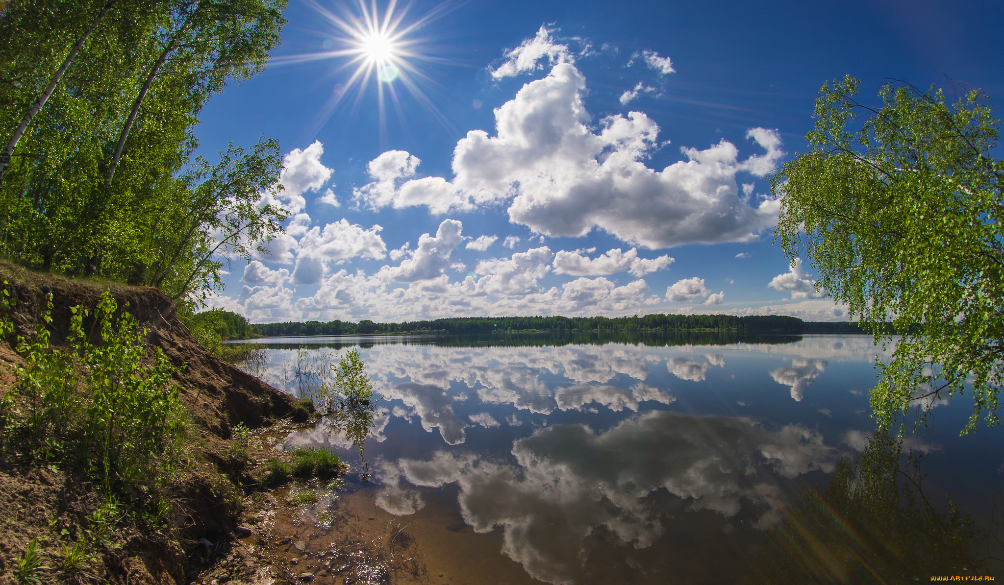 природа, реки, озера, река, лес