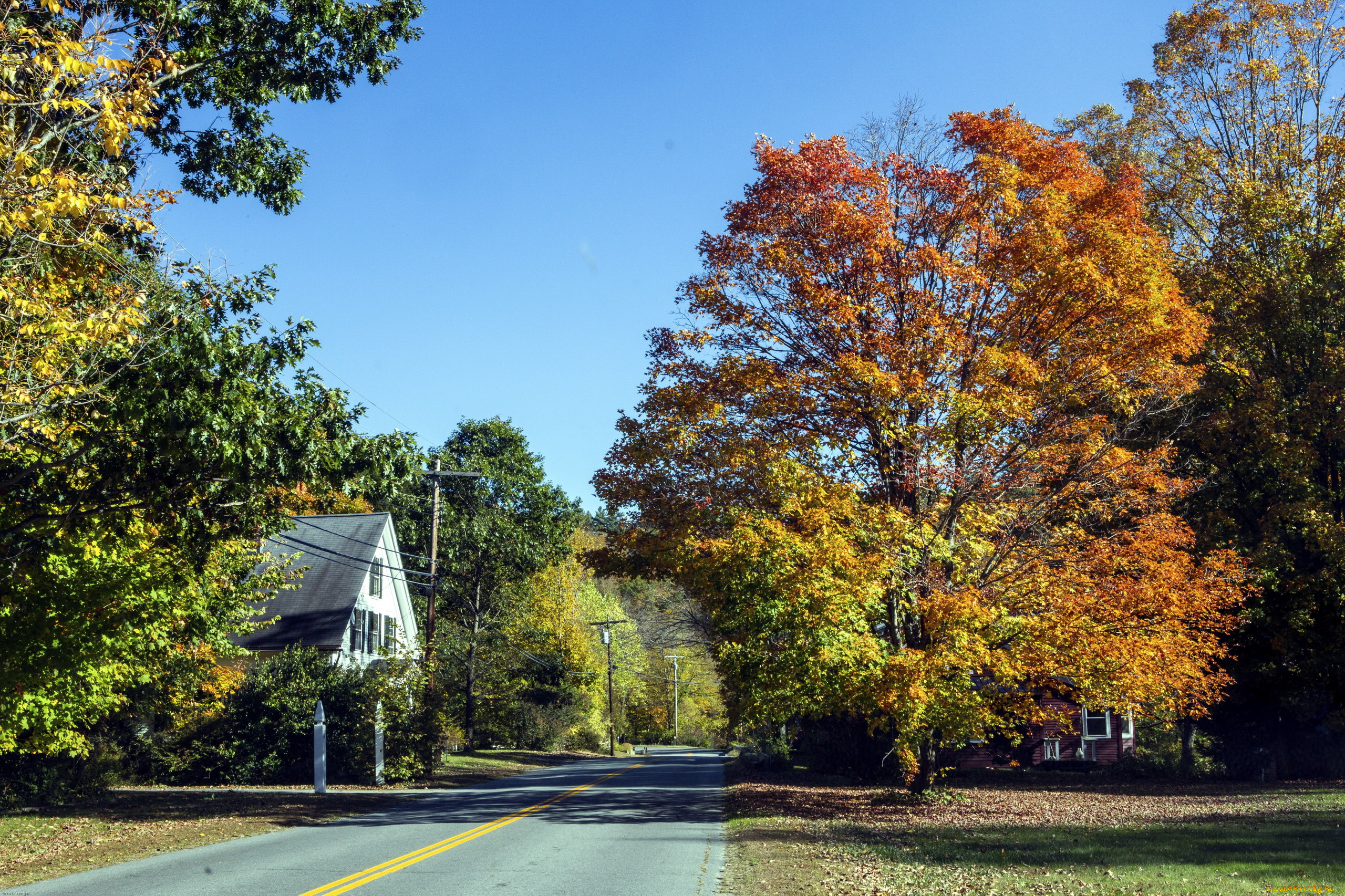 природа, дороги, шоссе, осень, деревья, разметка