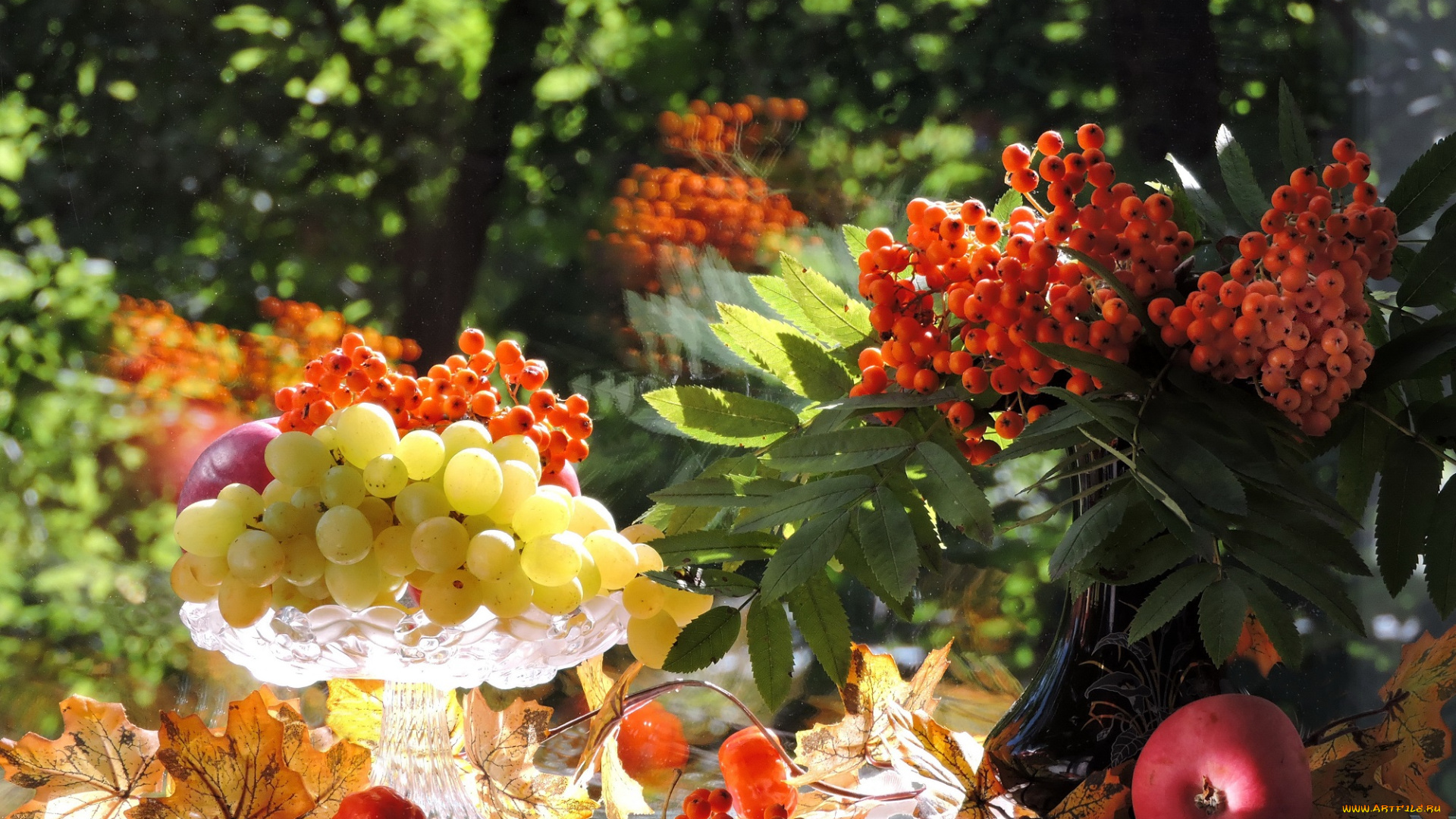 еда, натюрморт, осень, листья, фото, яблоки, виноград, август, рябина, композиция