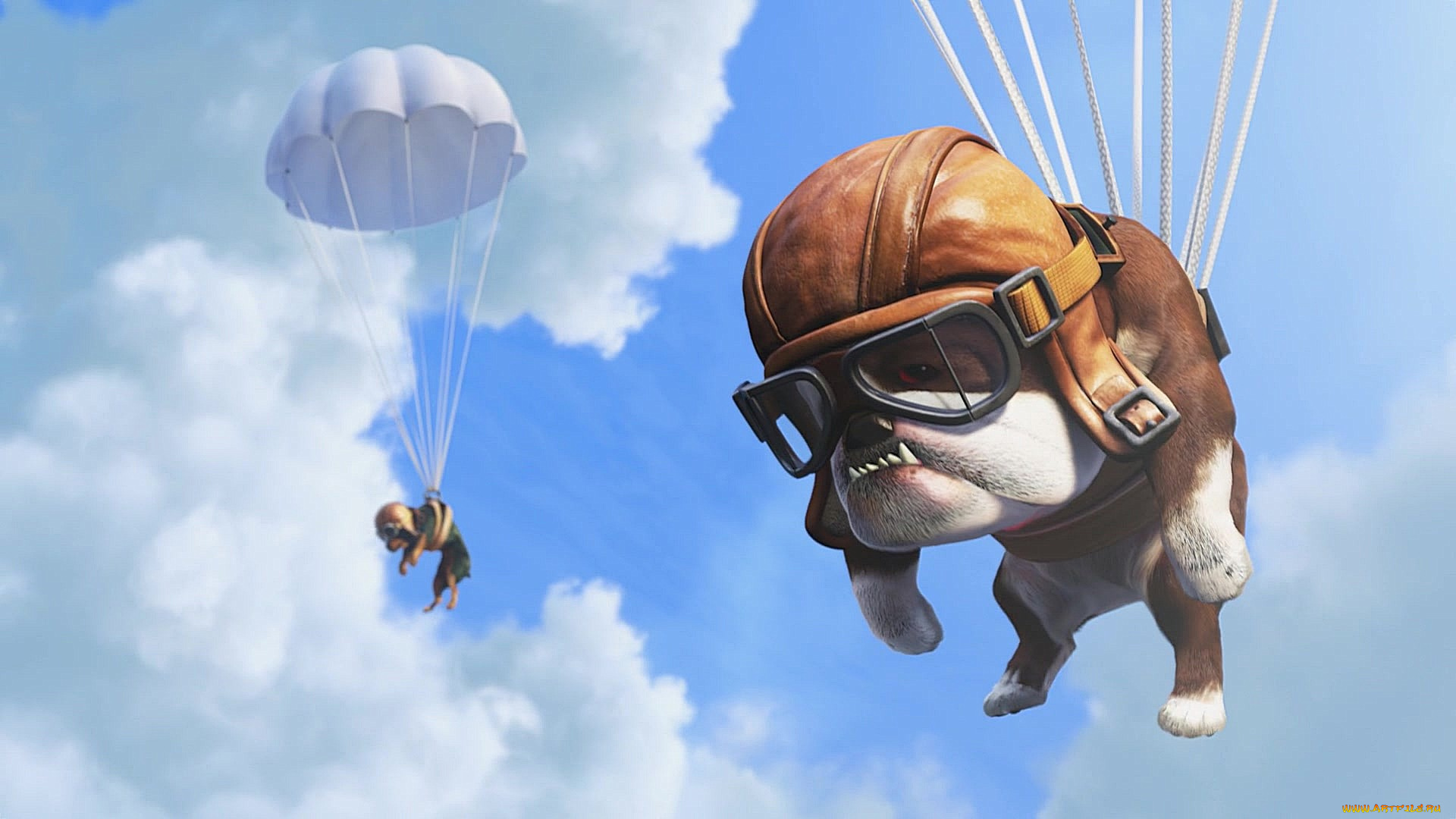 мультфильмы, up, собака, очки, парашют, шлем, облака