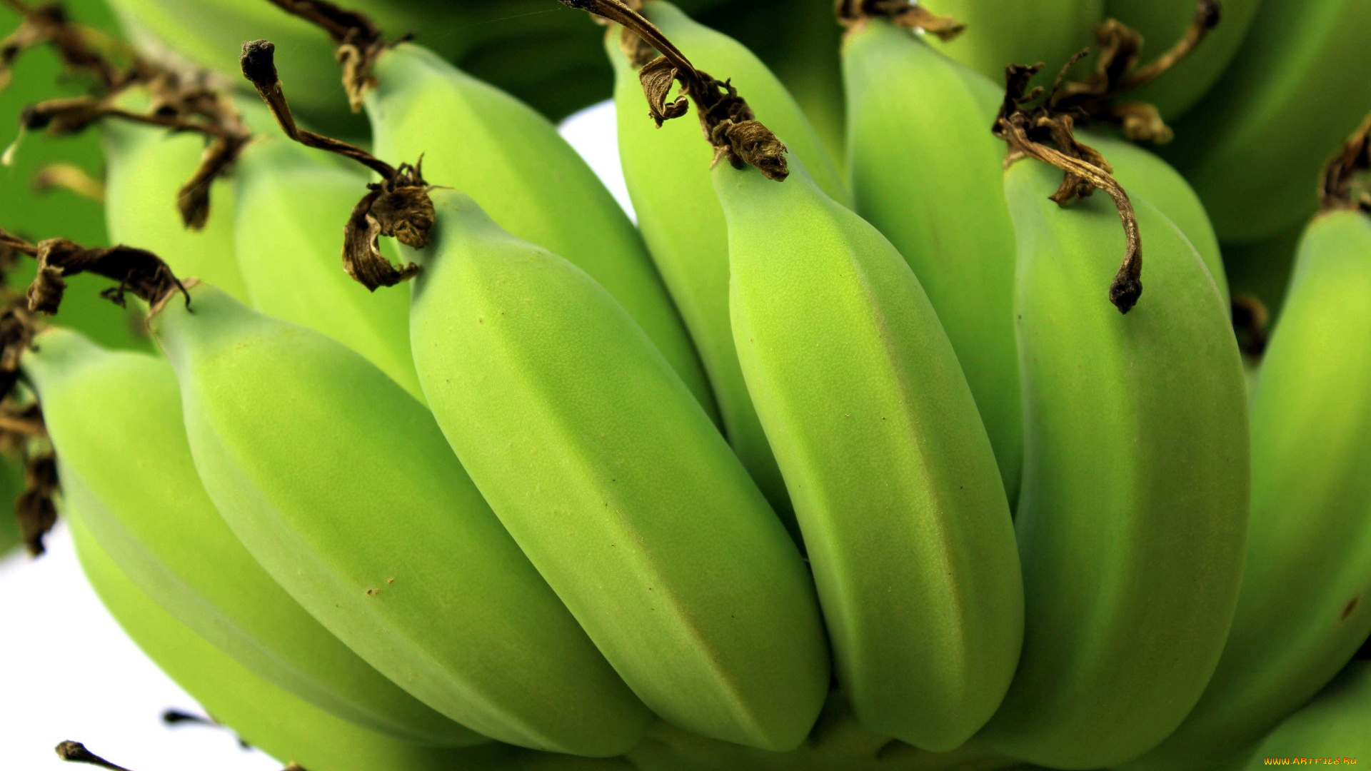 природа, плоды, зеленые, бананы
