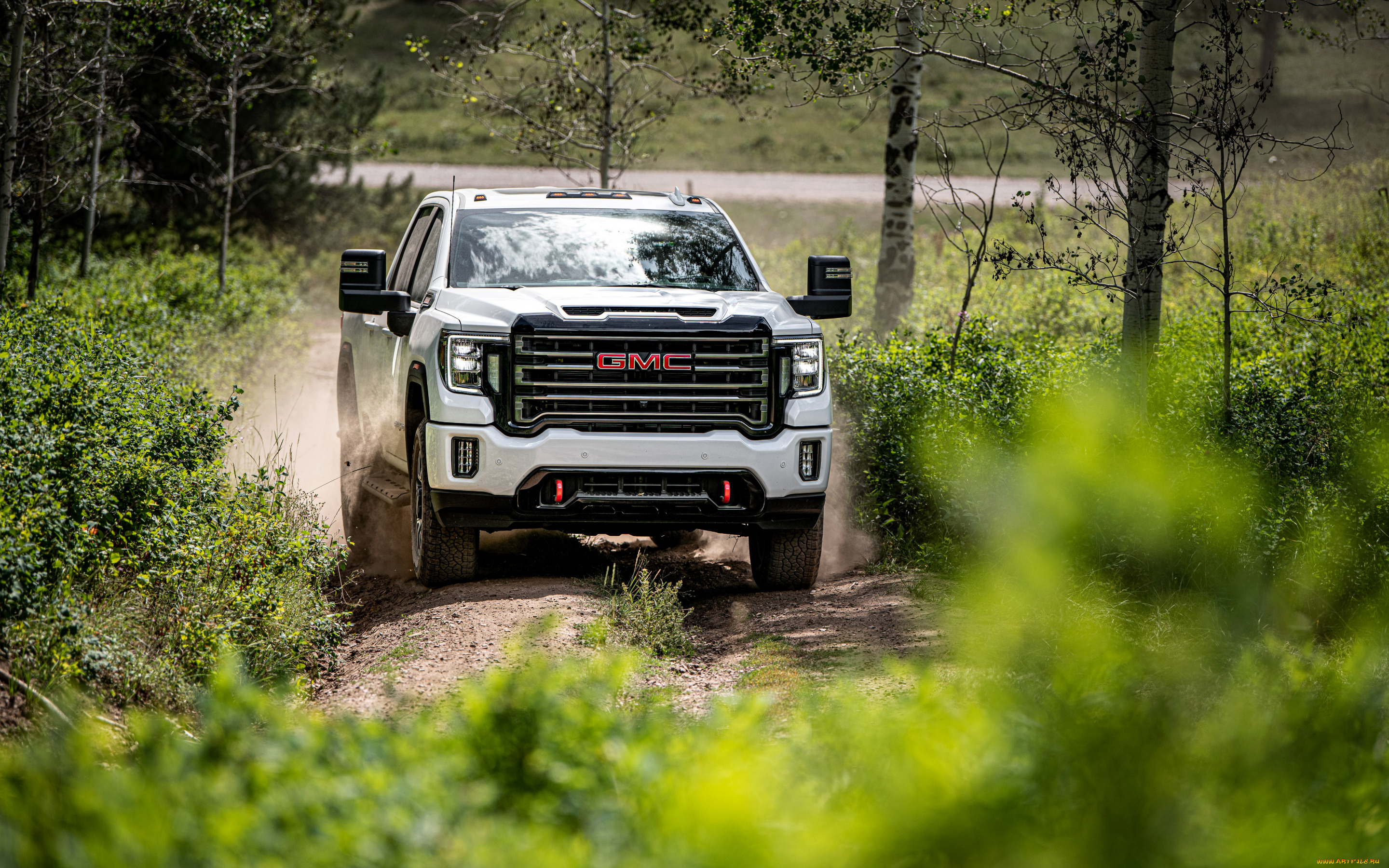 2020, gmc, sierra, 1500, at4, автомобили, gm-gmc, 2020, gmc, sierra, 1500, at4, вид, спереди, экстерьер, белый, пикап, американские