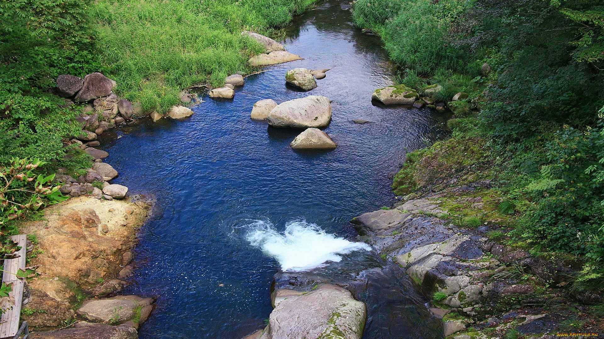 природа, реки, озера, камни, река, трава