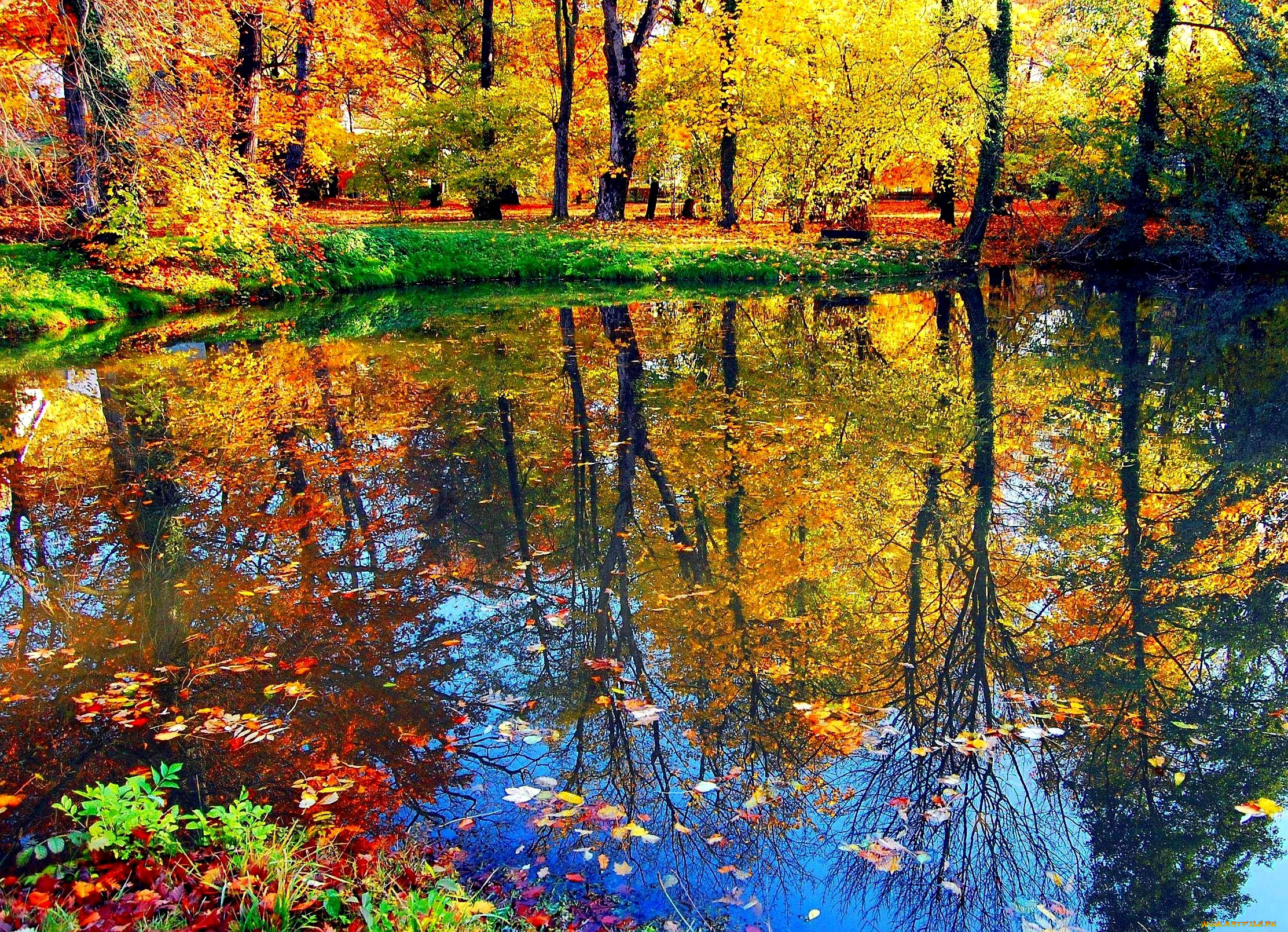природа, реки, озера, вода, деревья, осень, листья