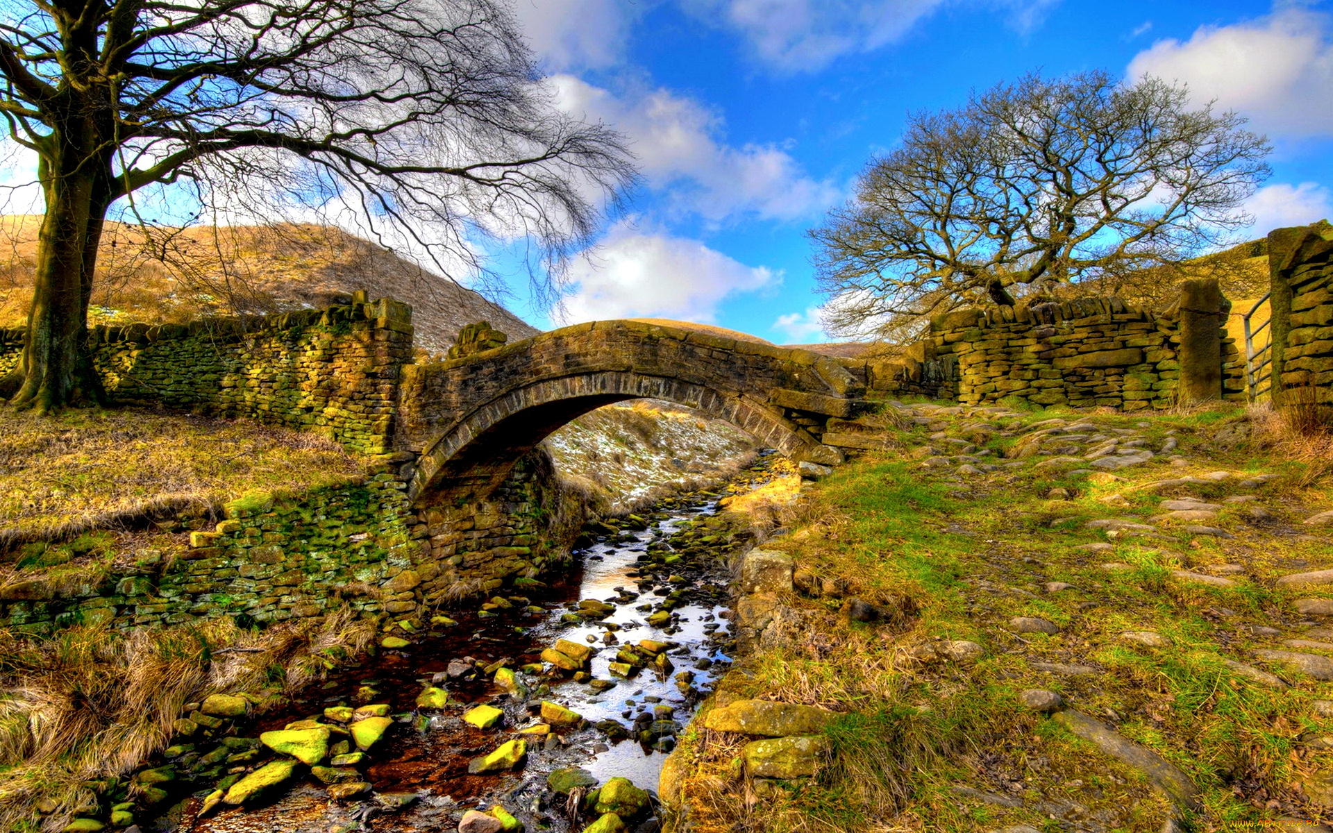 the, stone, bridge, природа, реки, озера, мост, ручей, овраг, трава