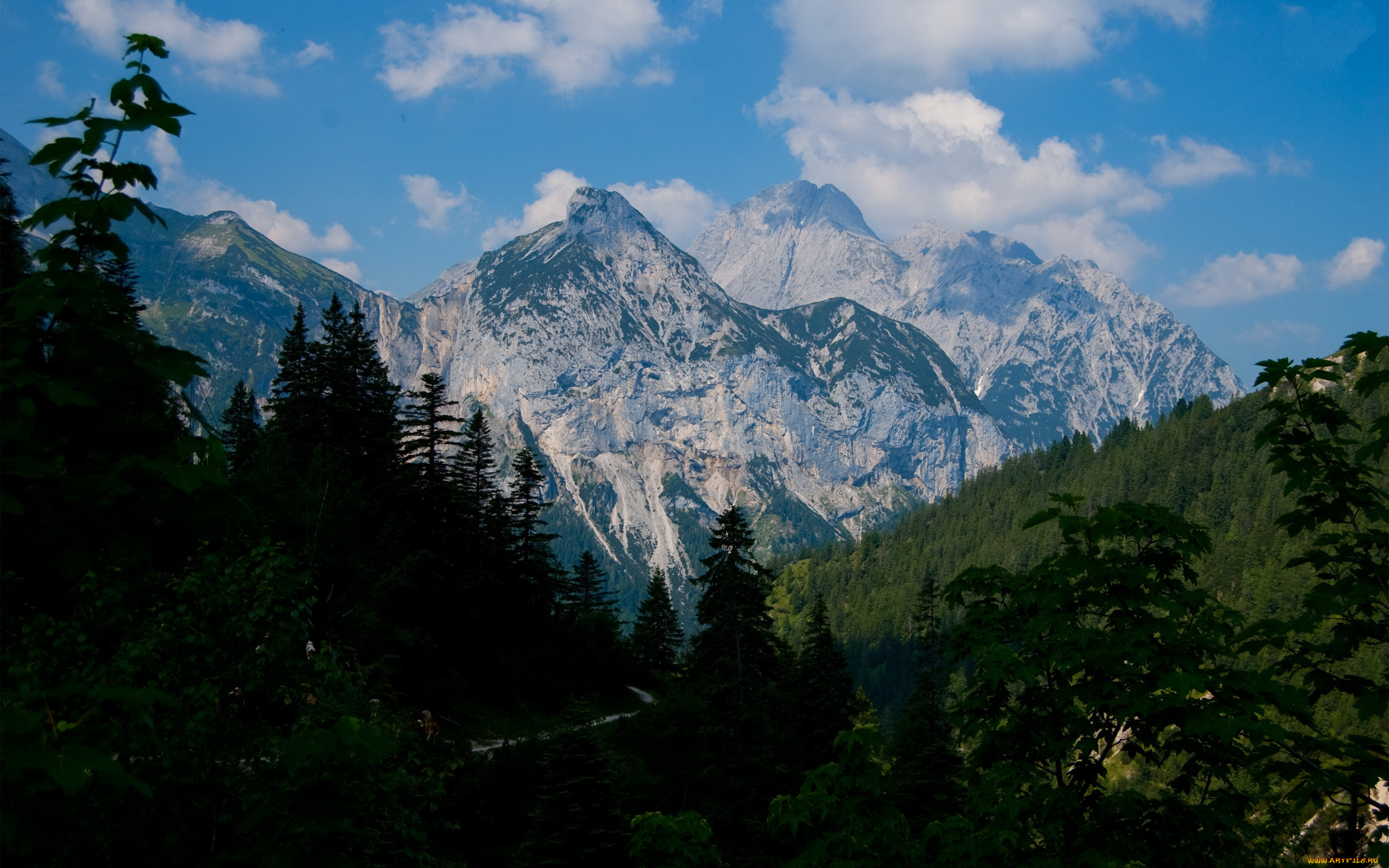 karwendel, природа, горы, вершины, леса