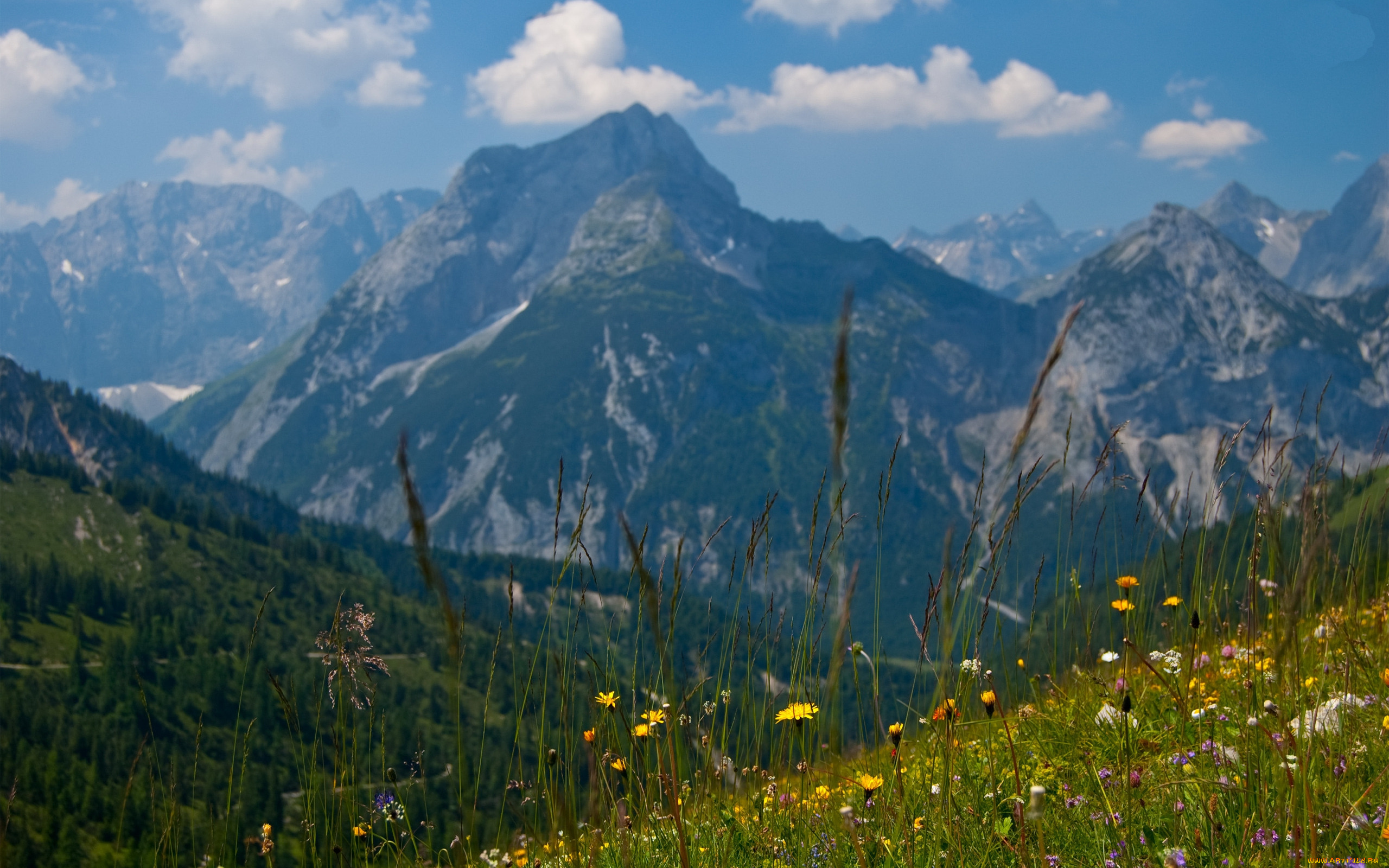 majestic, view, природа, горы, луга