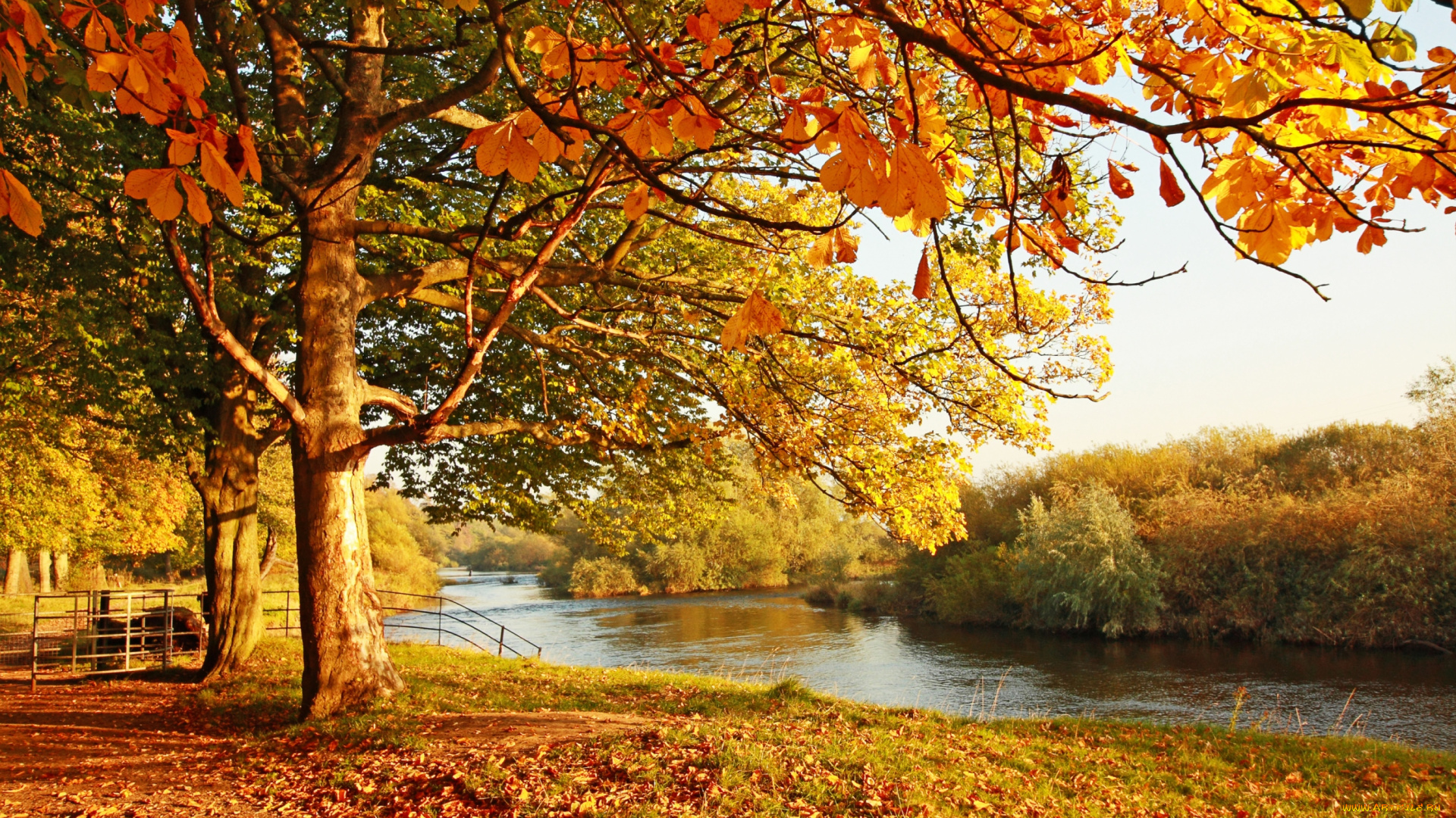 природа, реки, озера, золотой, каштан, осень