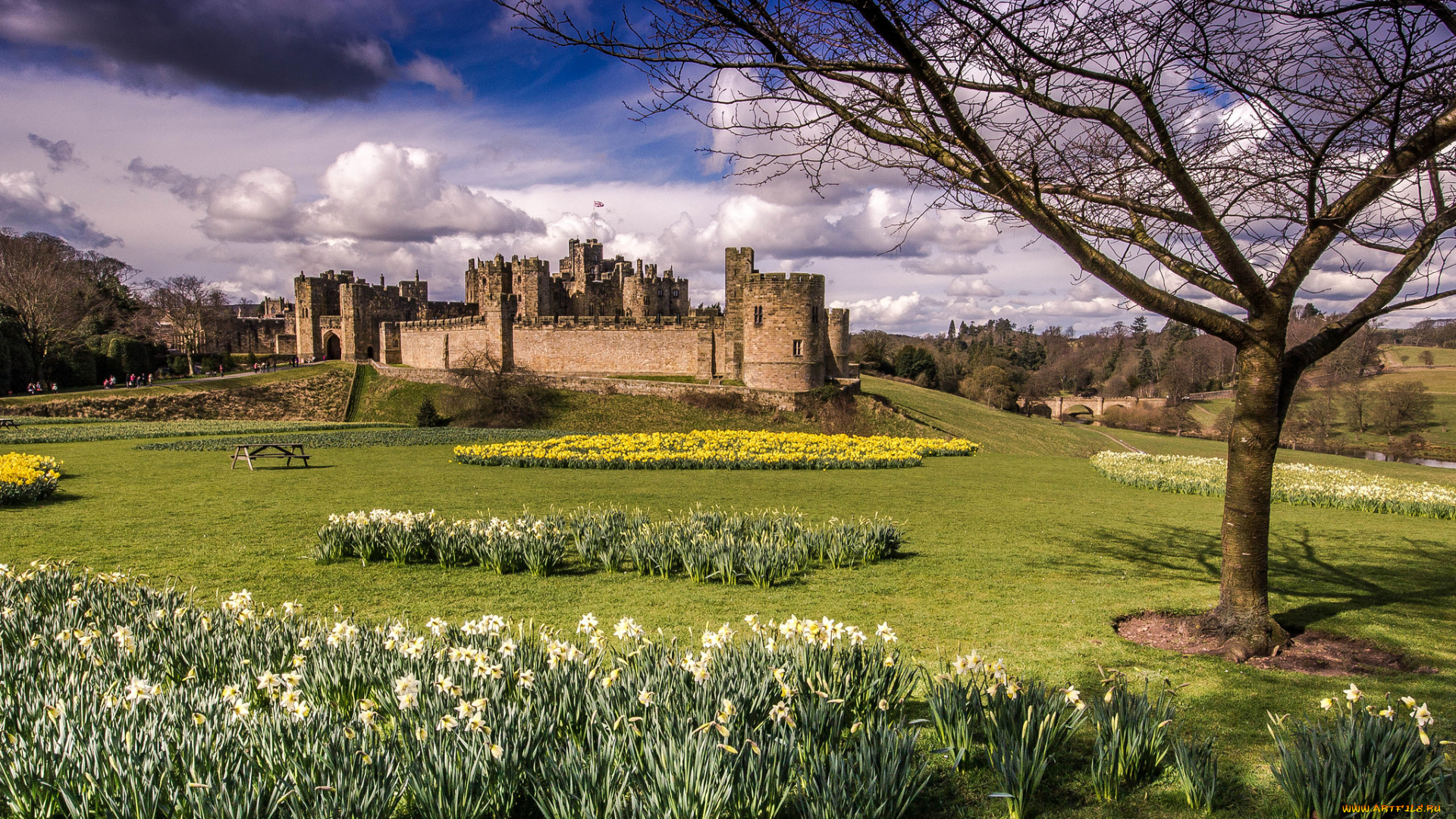 alnwick, castle, города, -, дворцы, , замки, , крепости, замок