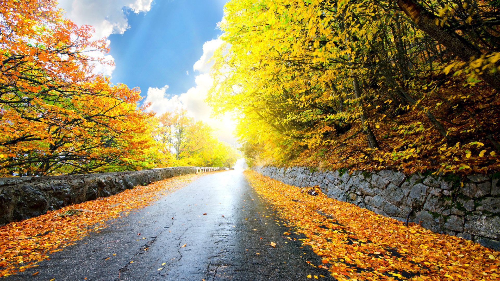 природа, дороги, листья, шоссе, осень