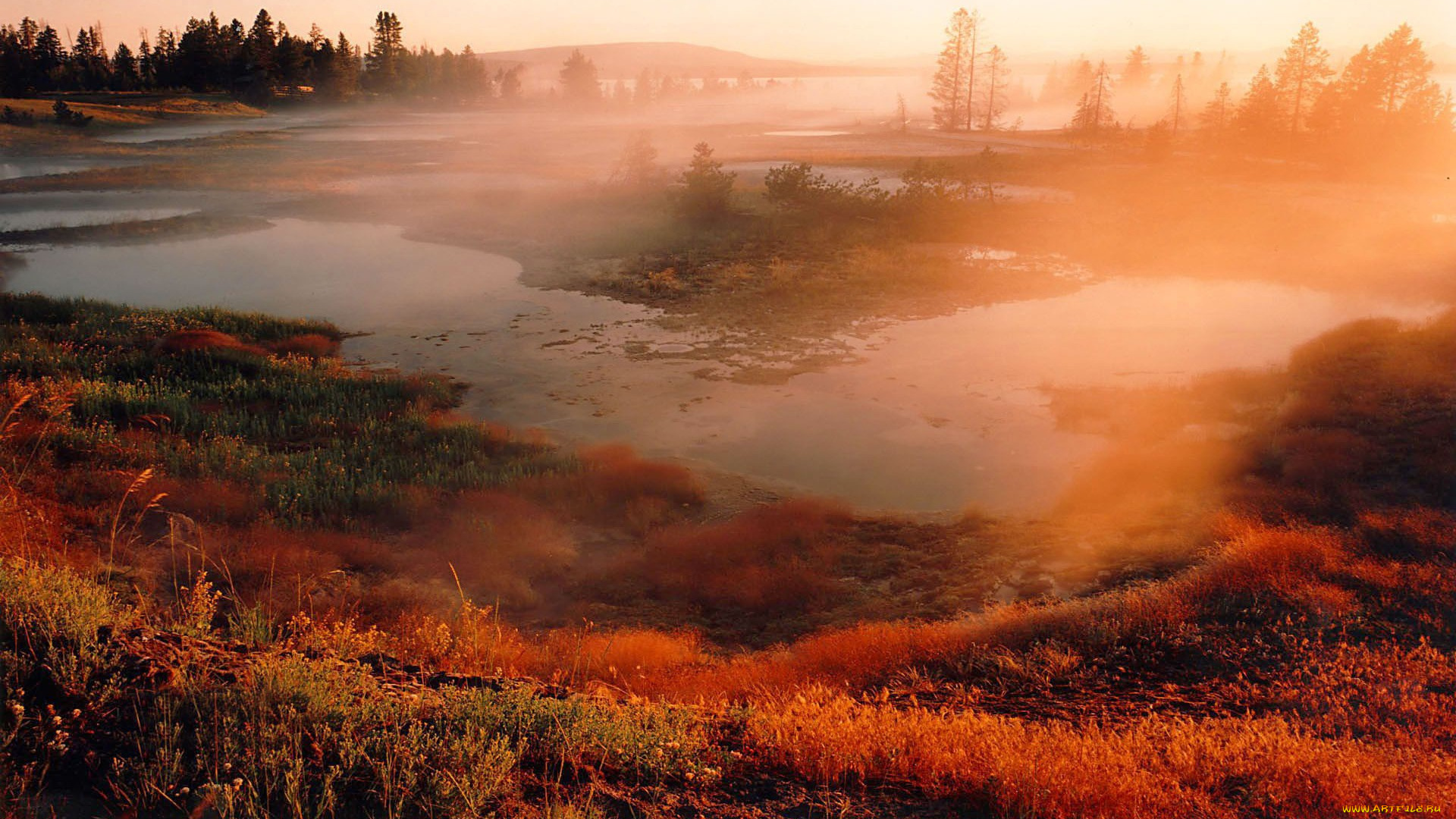 природа, реки, озера, рассвет, туман, осень, трава, парк, yellowstone