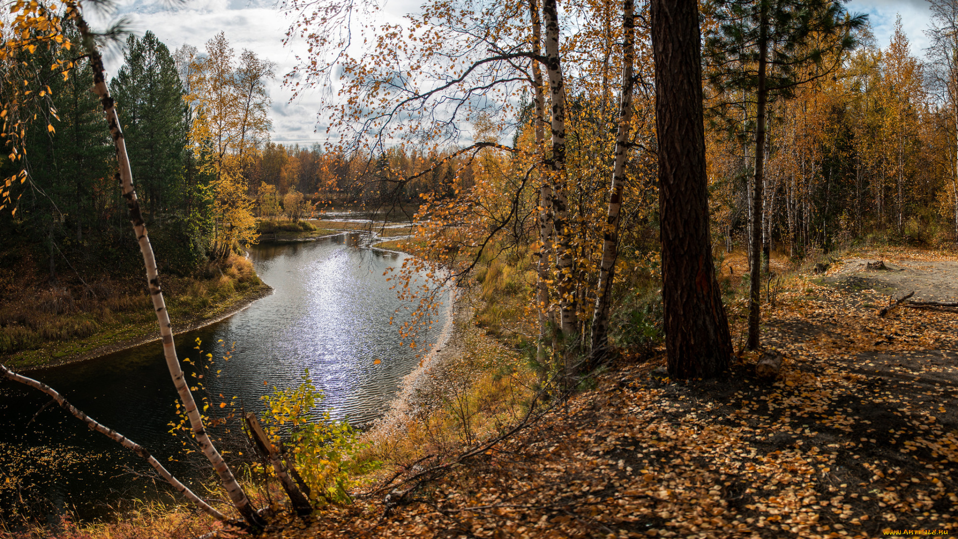 природа, реки, озера, река, лес