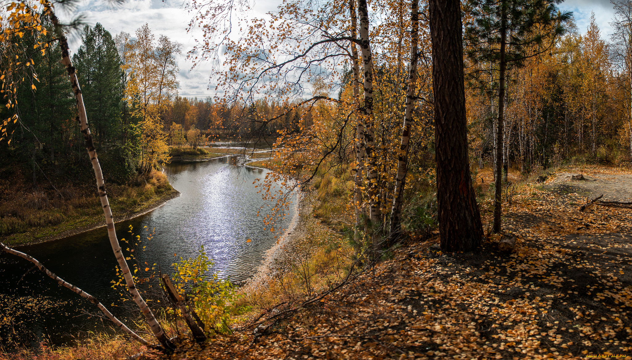 природа, реки, озера, река, лес