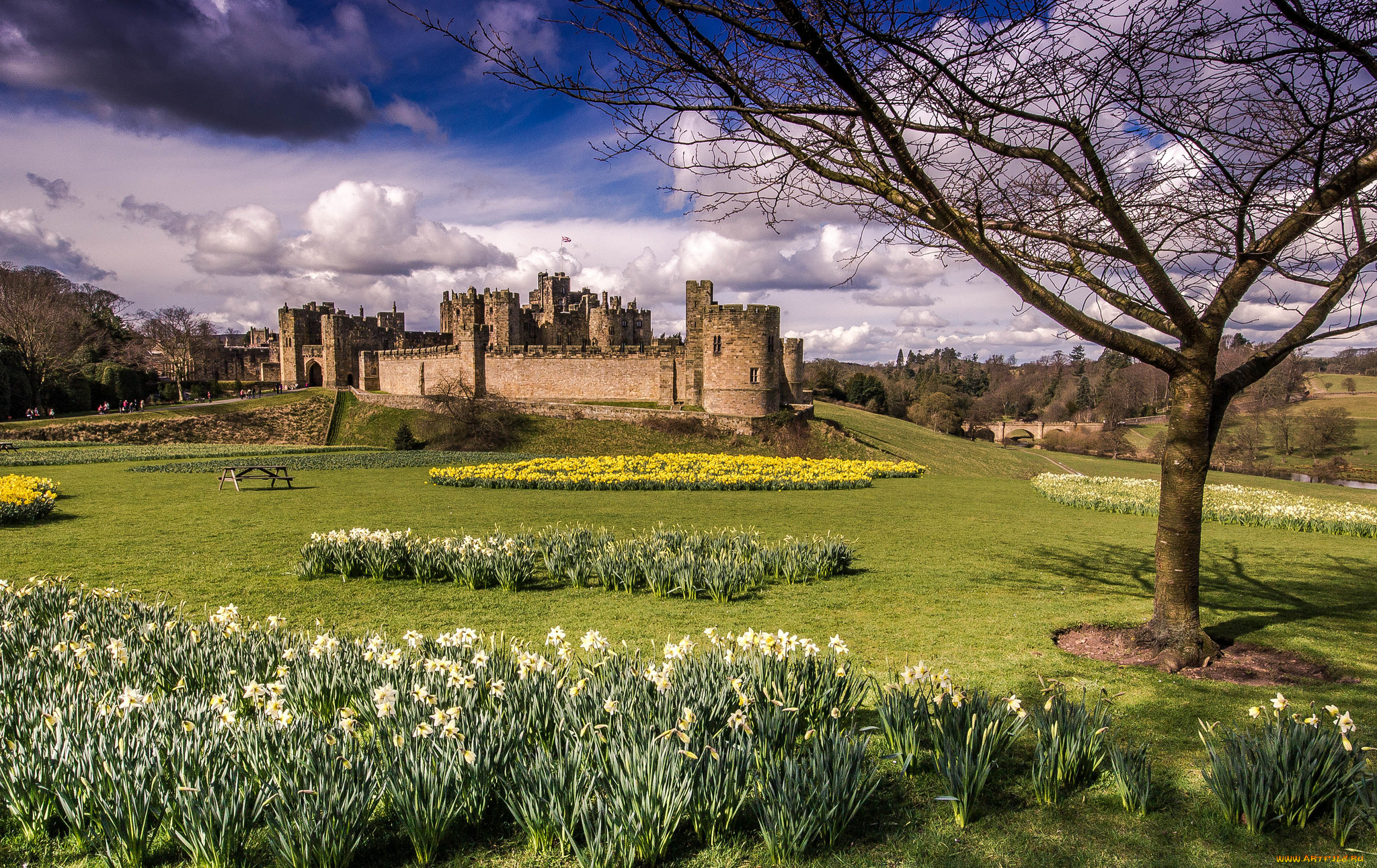 alnwick, castle, города, -, дворцы, , замки, , крепости, замок