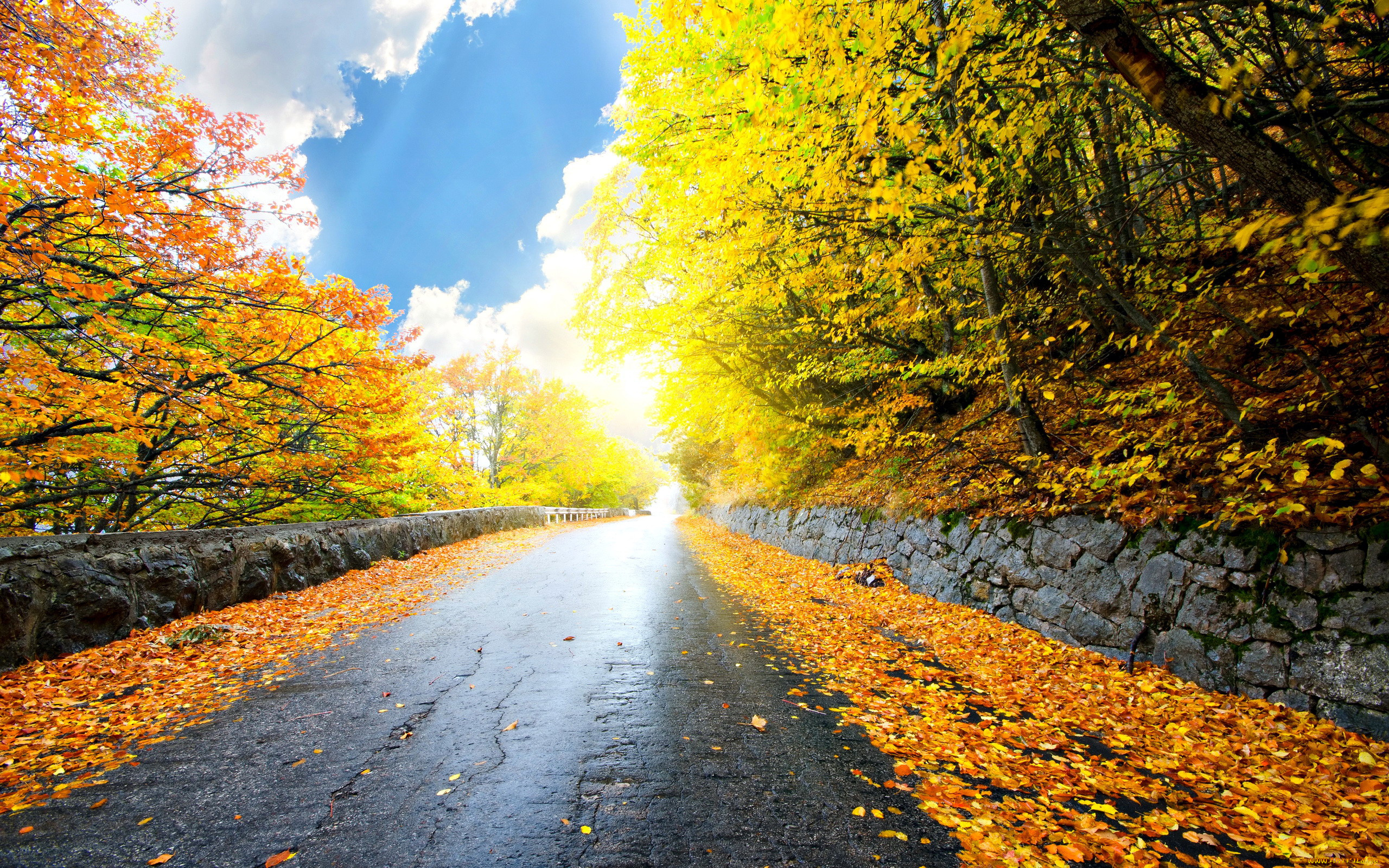 природа, дороги, листья, шоссе, осень