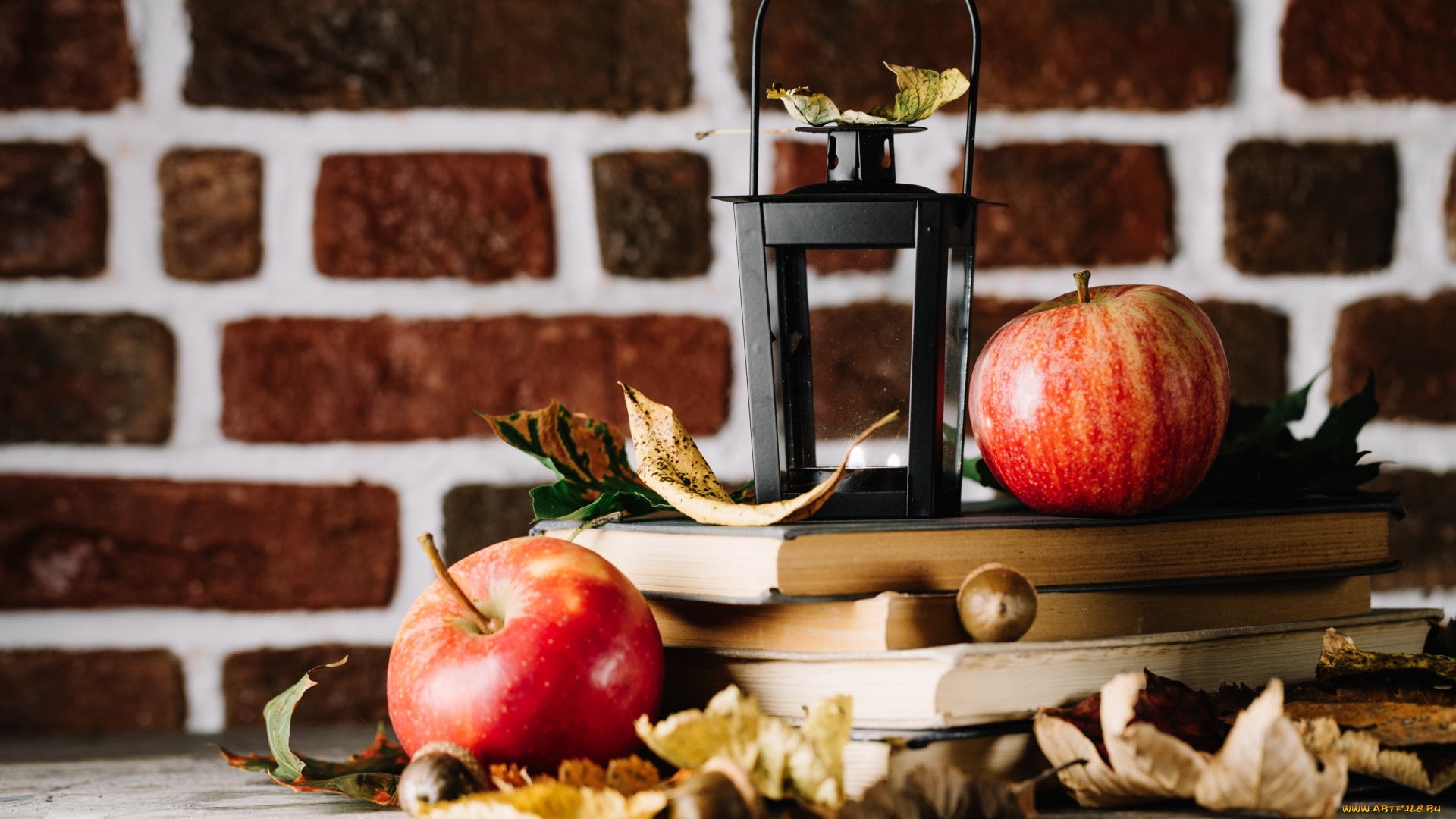 еда, Яблоки, листья, книги, яблоки, осень, осенние, плоды