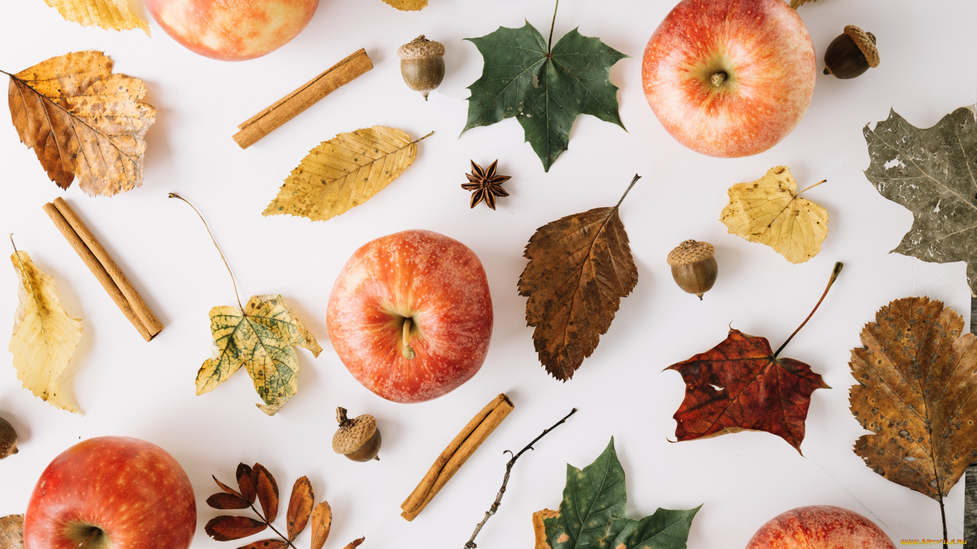 еда, Яблоки, яблоко, осень, плоды, желуди, листья