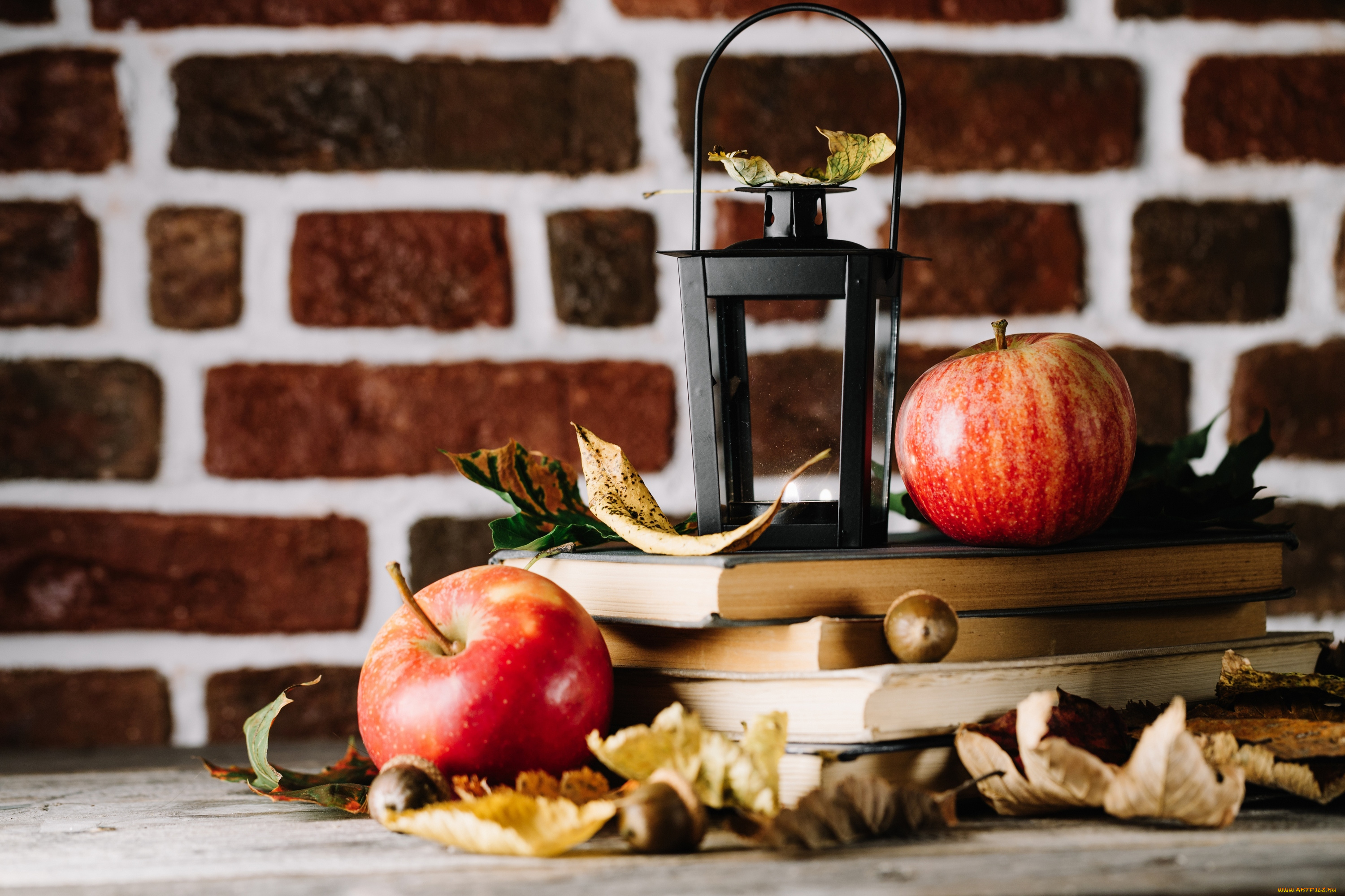 еда, Яблоки, листья, книги, яблоки, осень, осенние, плоды