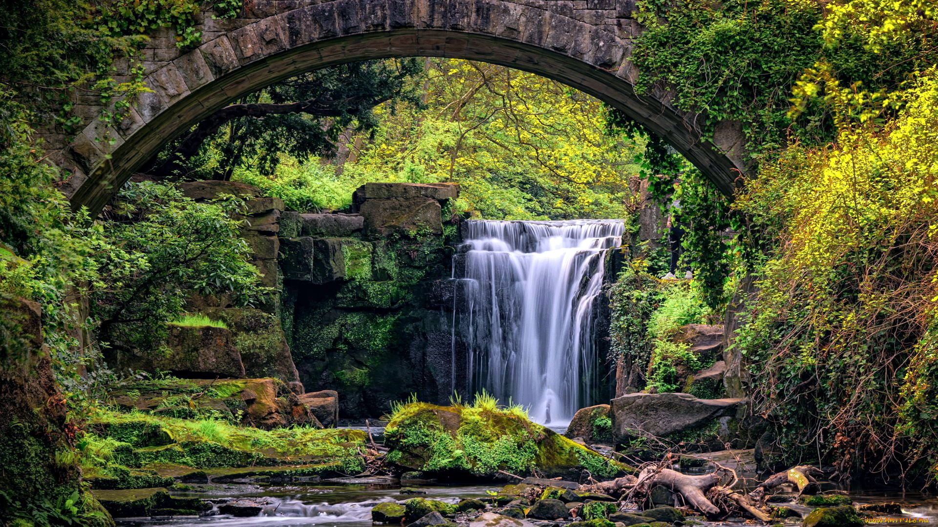 jesmond, dene, waterfall, england, природа, водопады, jesmond, dene, waterfall