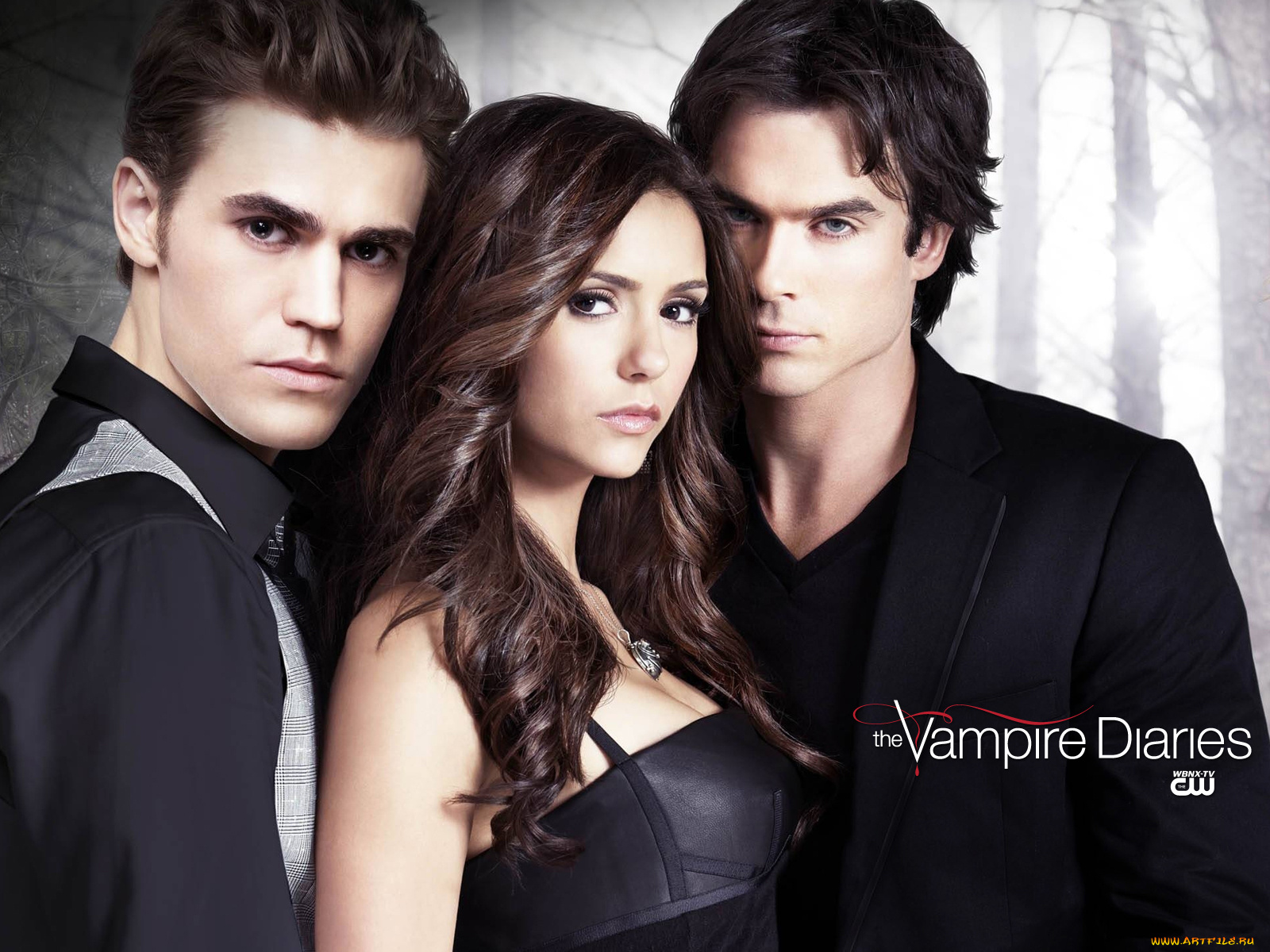 the, vampire, diaries, кино, фильмы, paul, wesley, nina, dobrev, ian, somerhalder