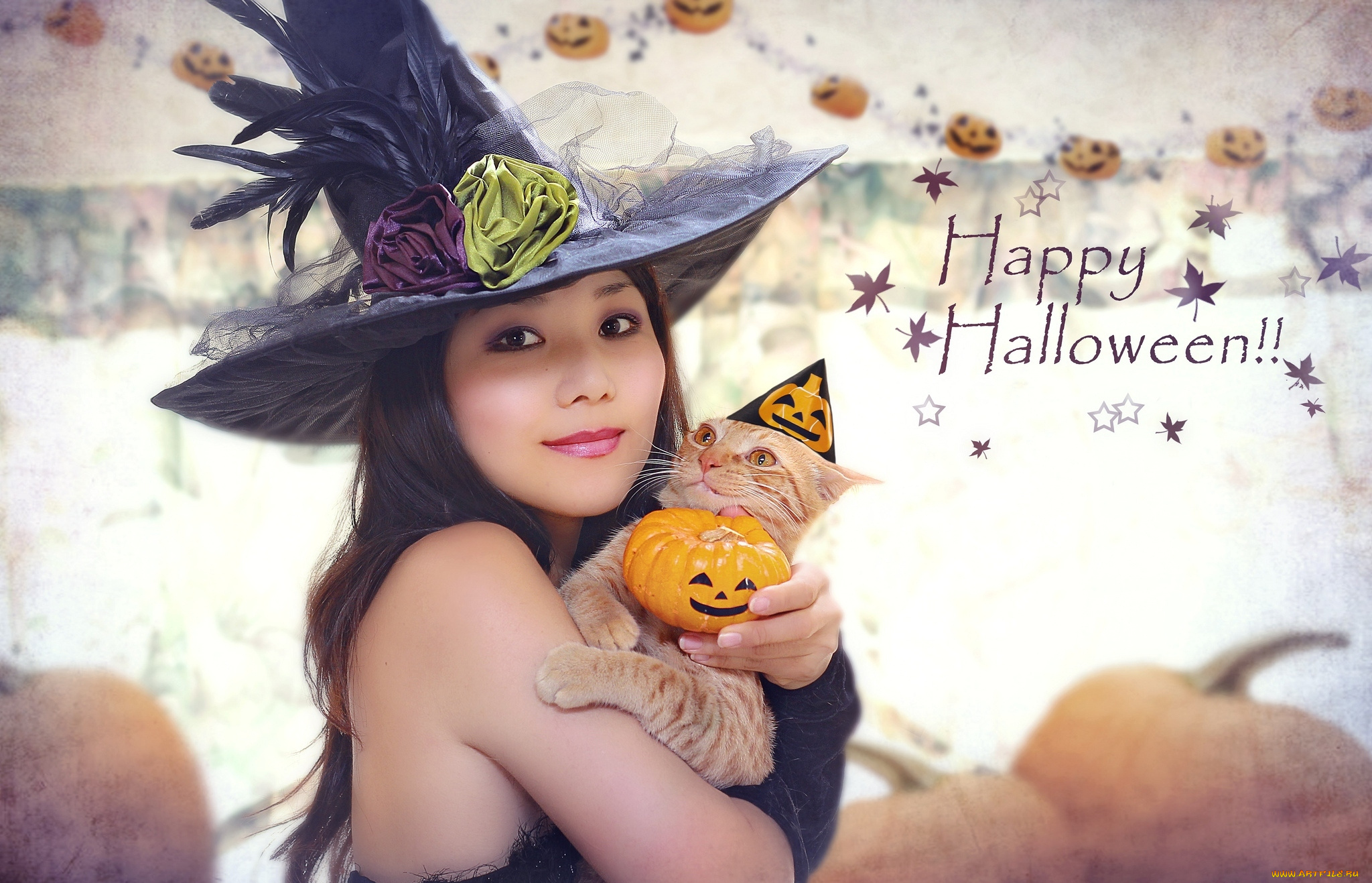 праздничные, хэллоуин, ведьма, колпак, девушка, азиатка, кот