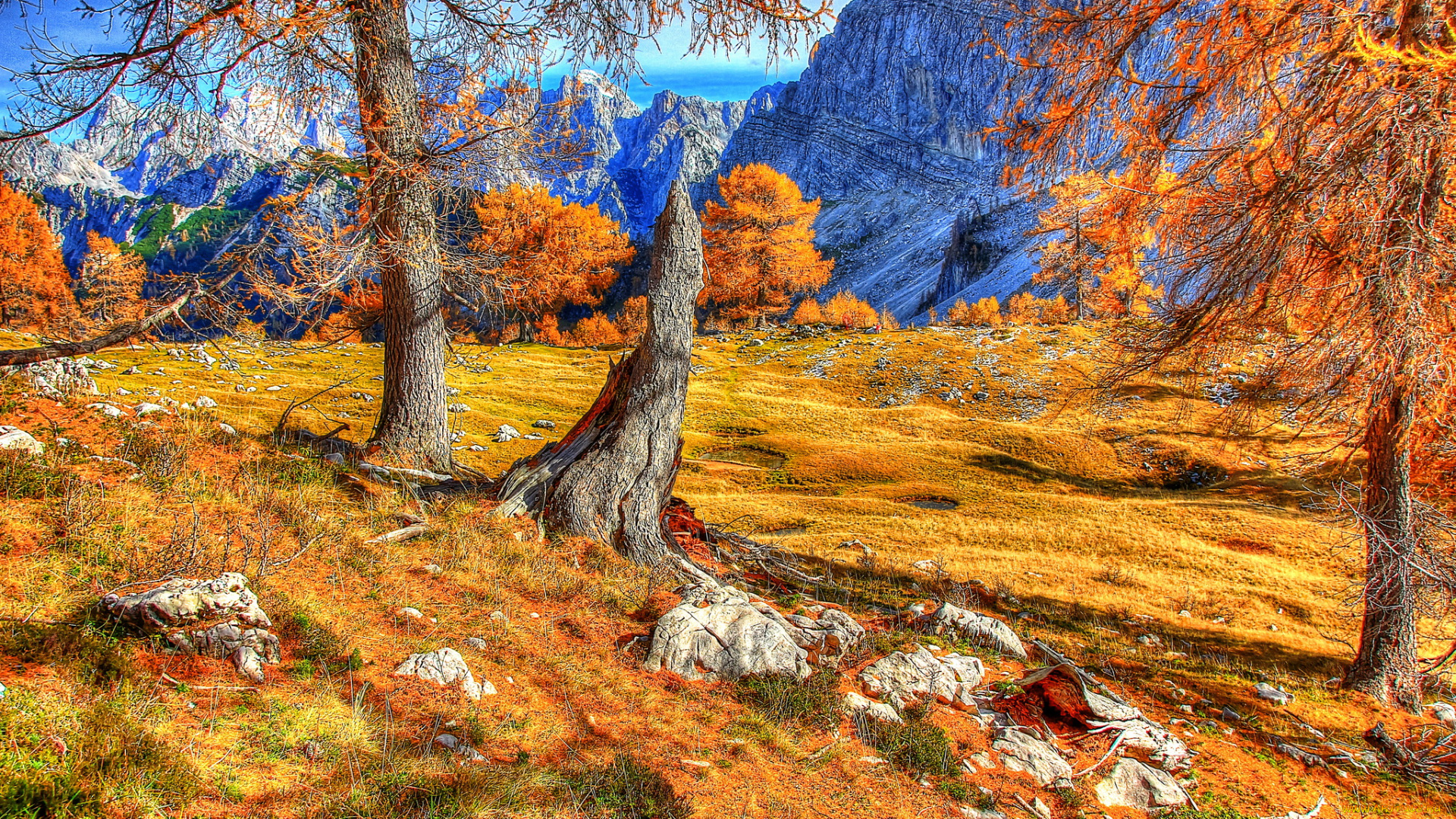 словения, краньска, гора, природа, горы, осень, деревья