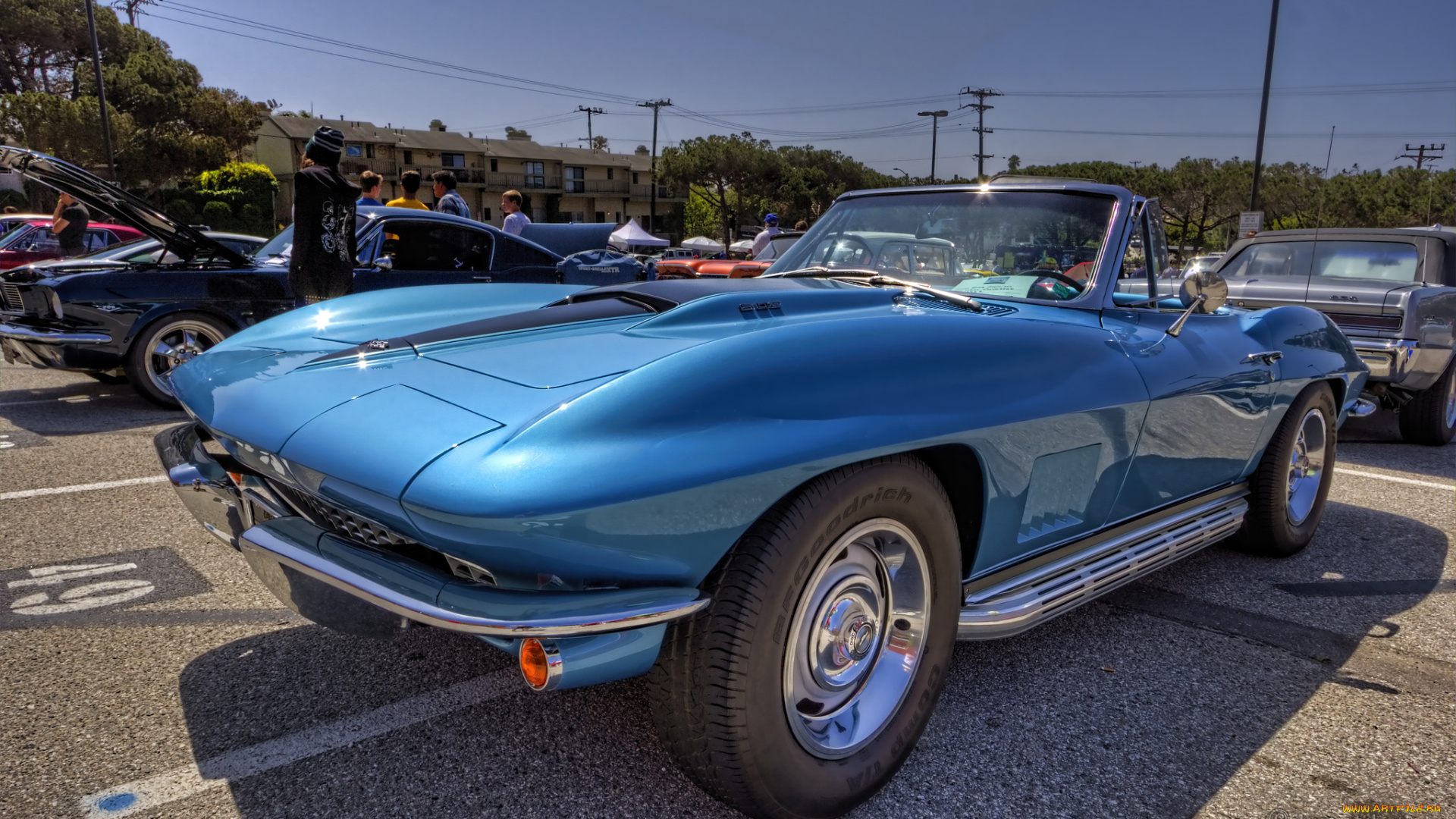 1967, chevrolet, corvette, 502, sting, ray, автомобили, выставки, и, уличные, фото, выставка, автошоу