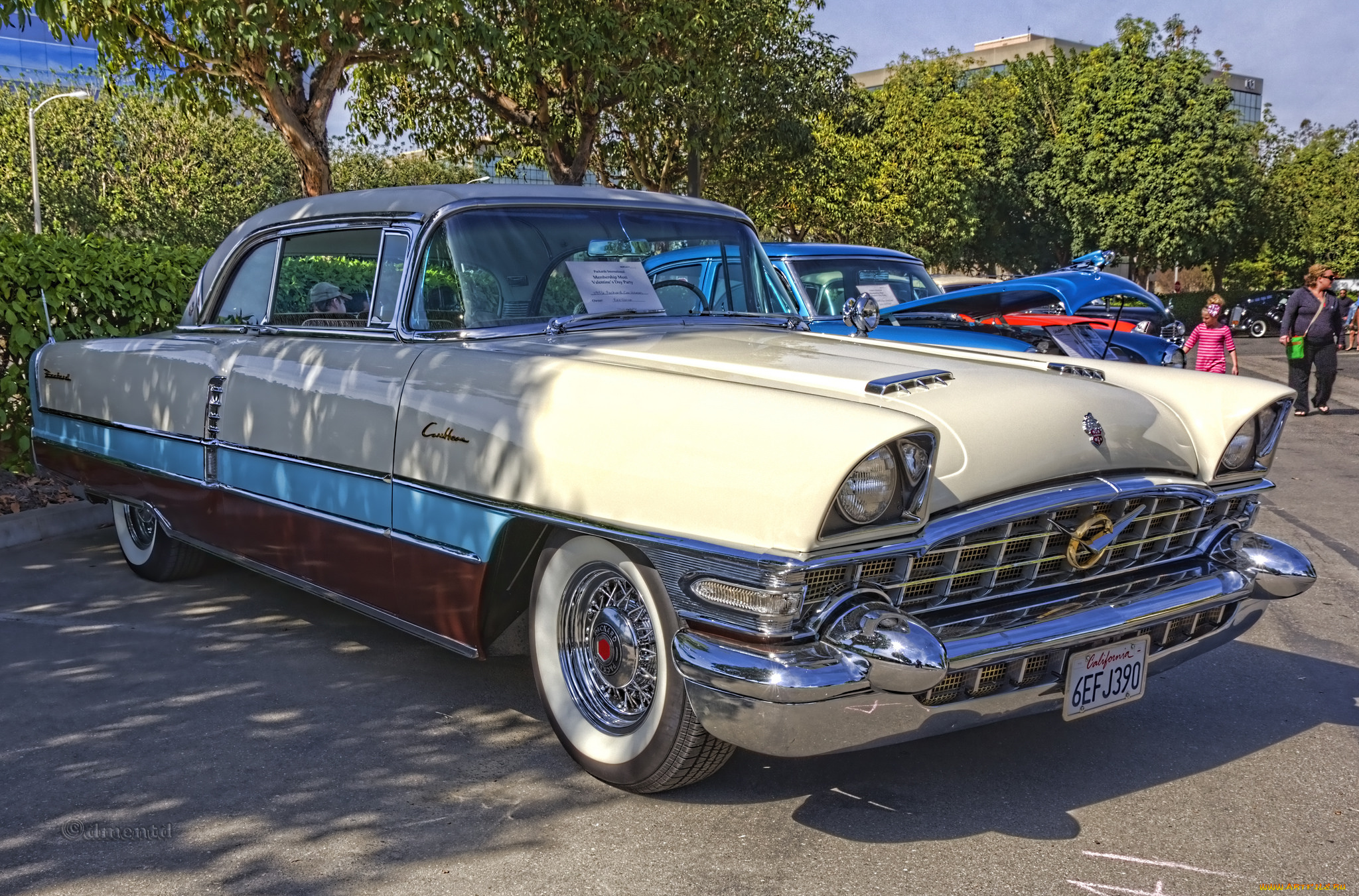 1956, packard, caribbean, автомобили, выставки, и, уличные, фото, автошоу, выставка